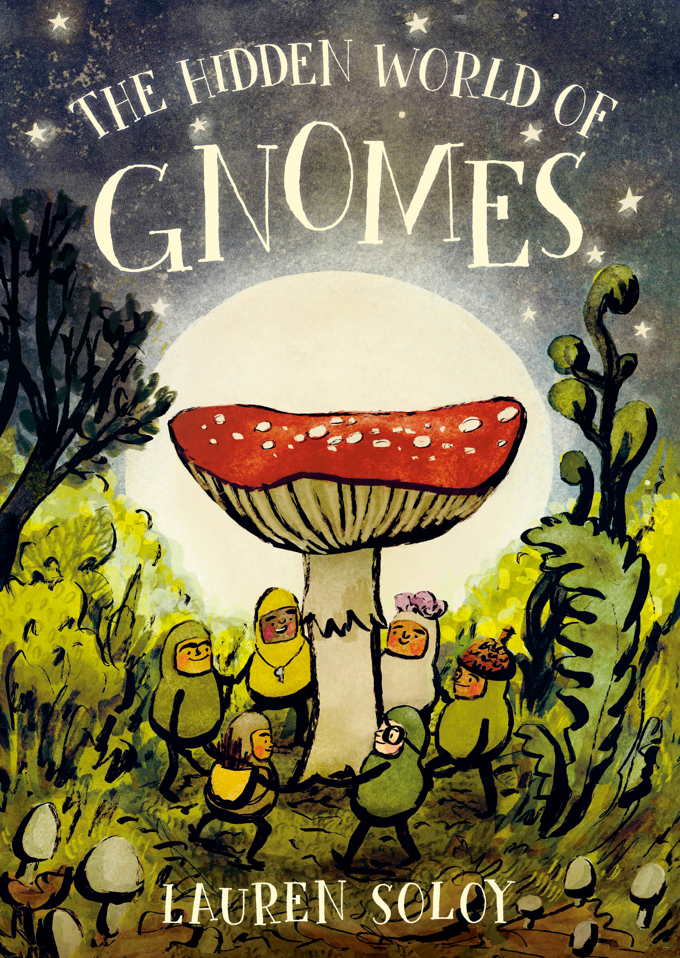 The Hidden World Of Gnomes (Hardcover Book)