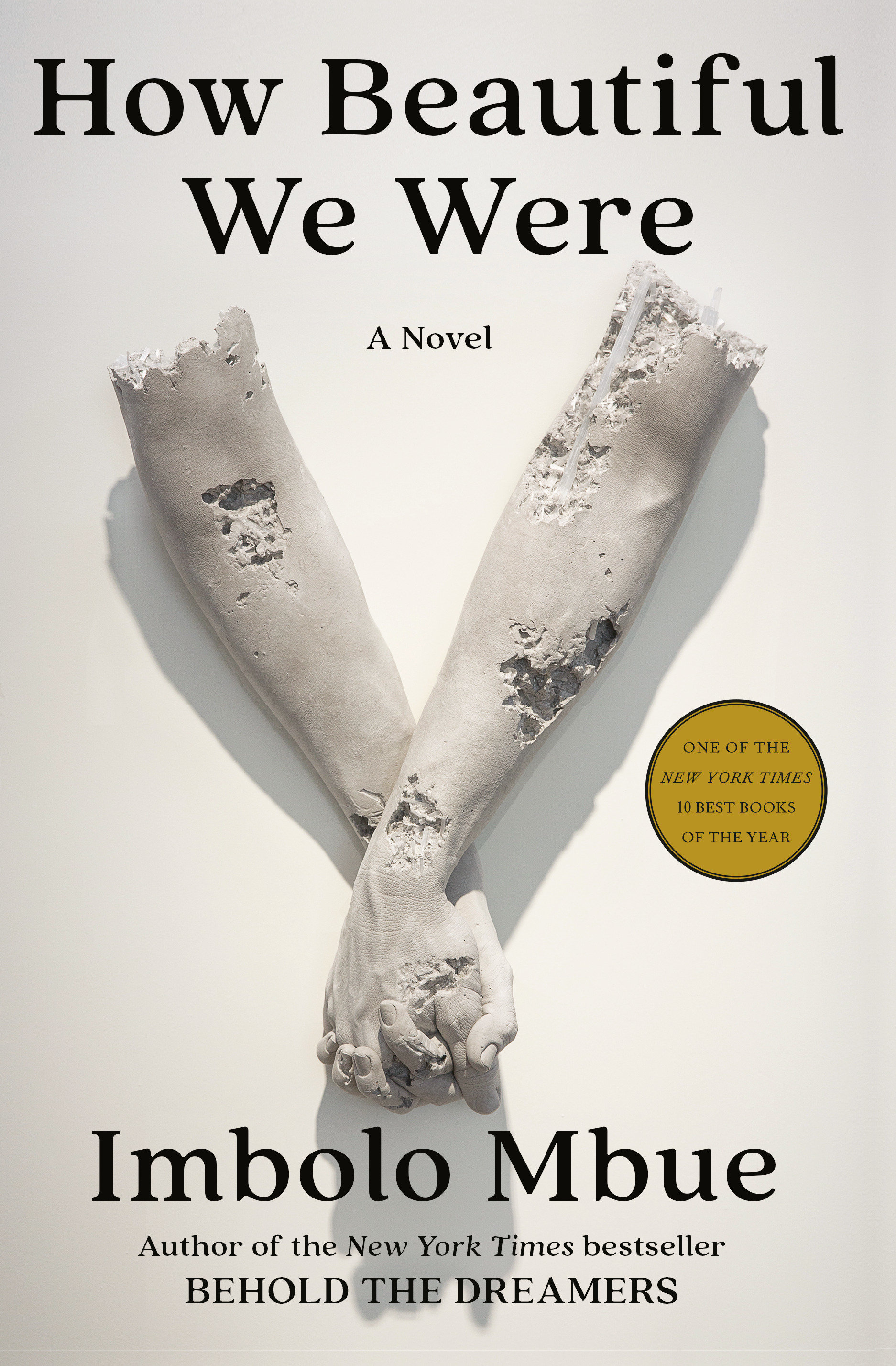 How Beautiful We Were (Hardcover Book)
