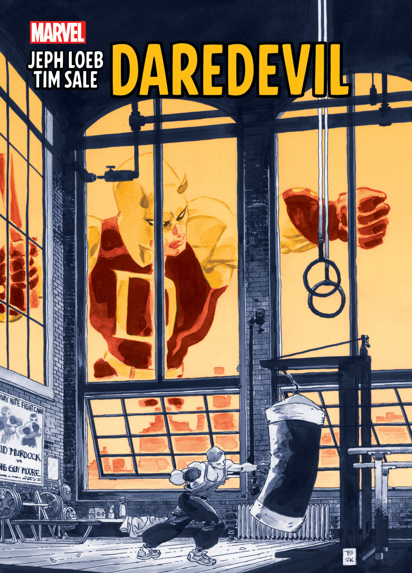 Daredevil by Jeph Loeb & Tim Sale Graphic Novel