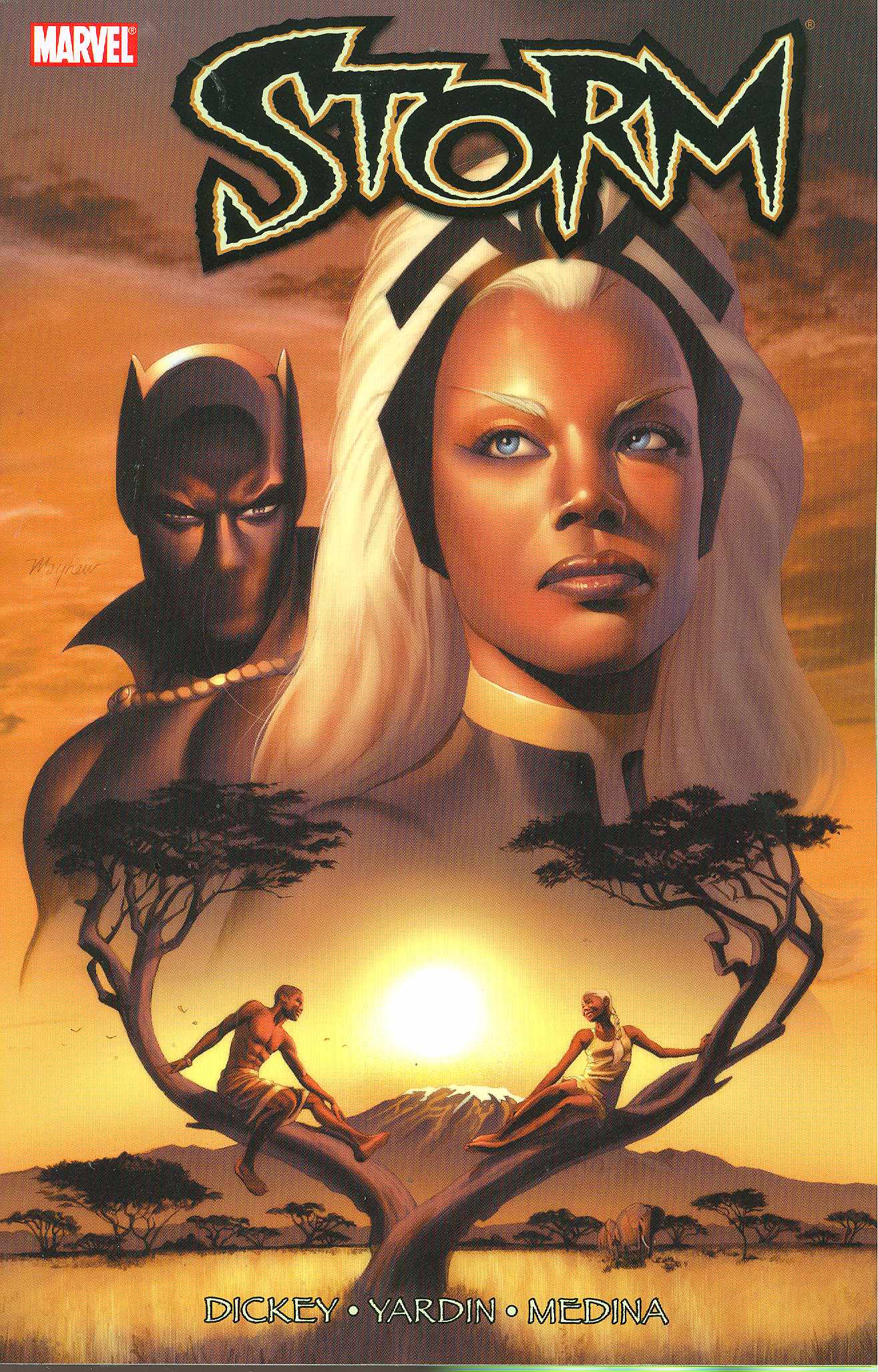 Storm Graphic Novel