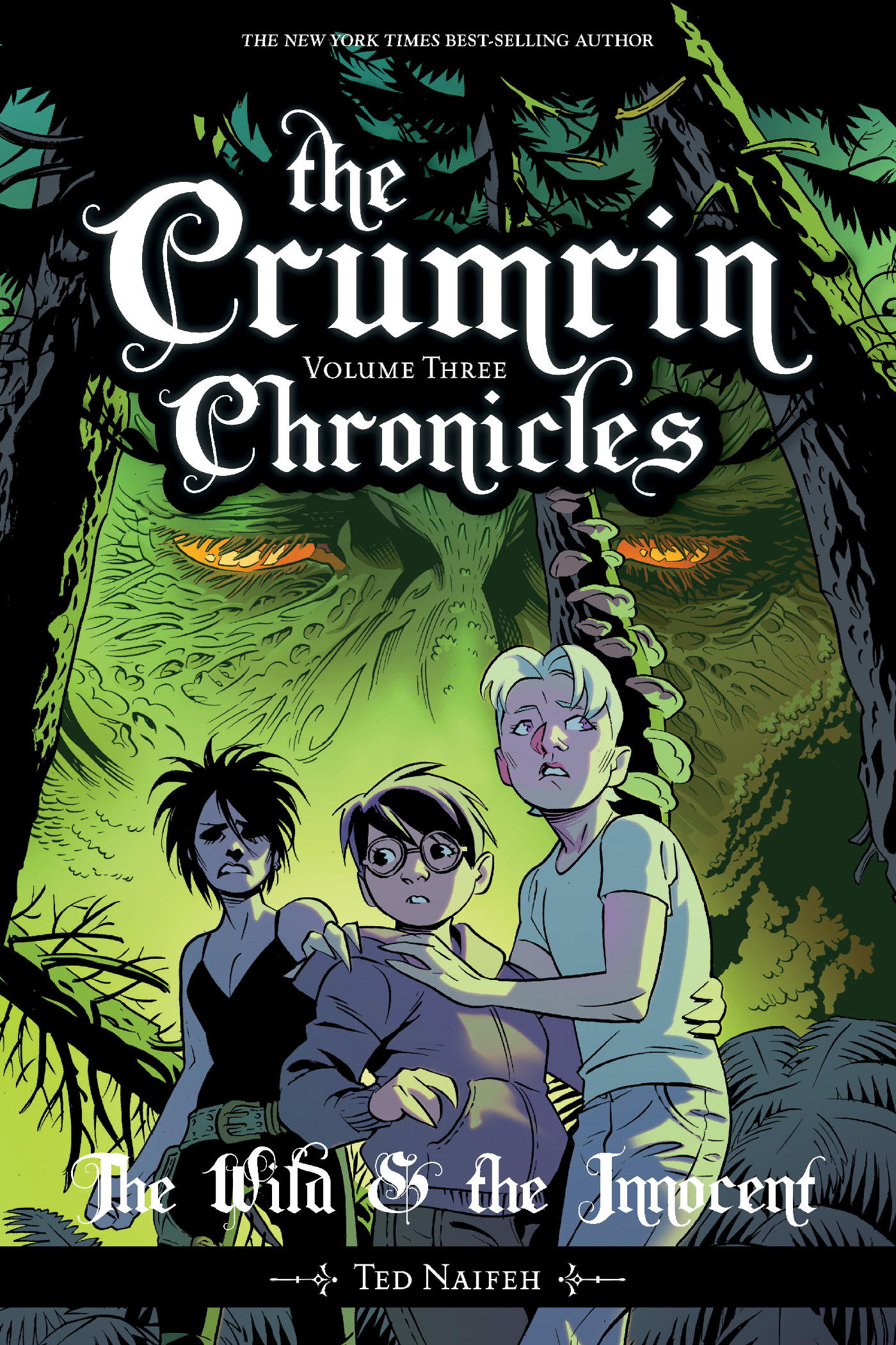 Crumrin Chronicles Graphic Novel Volume 3 The Wild & The Innocent