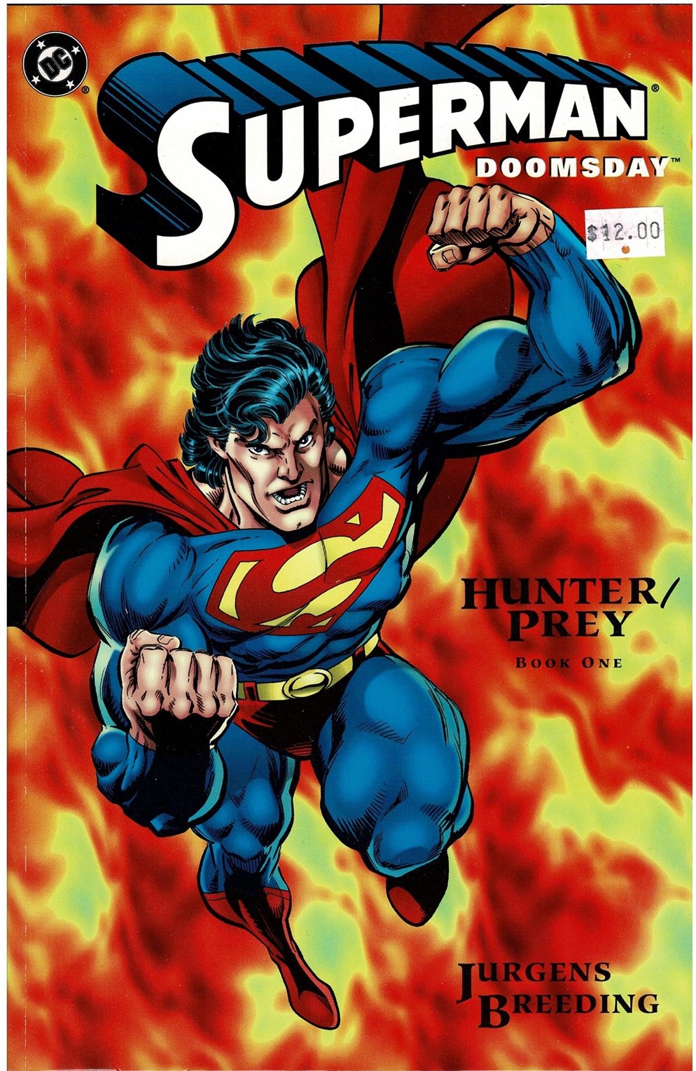 Superman: Doomsday #1-3  Comic Pack