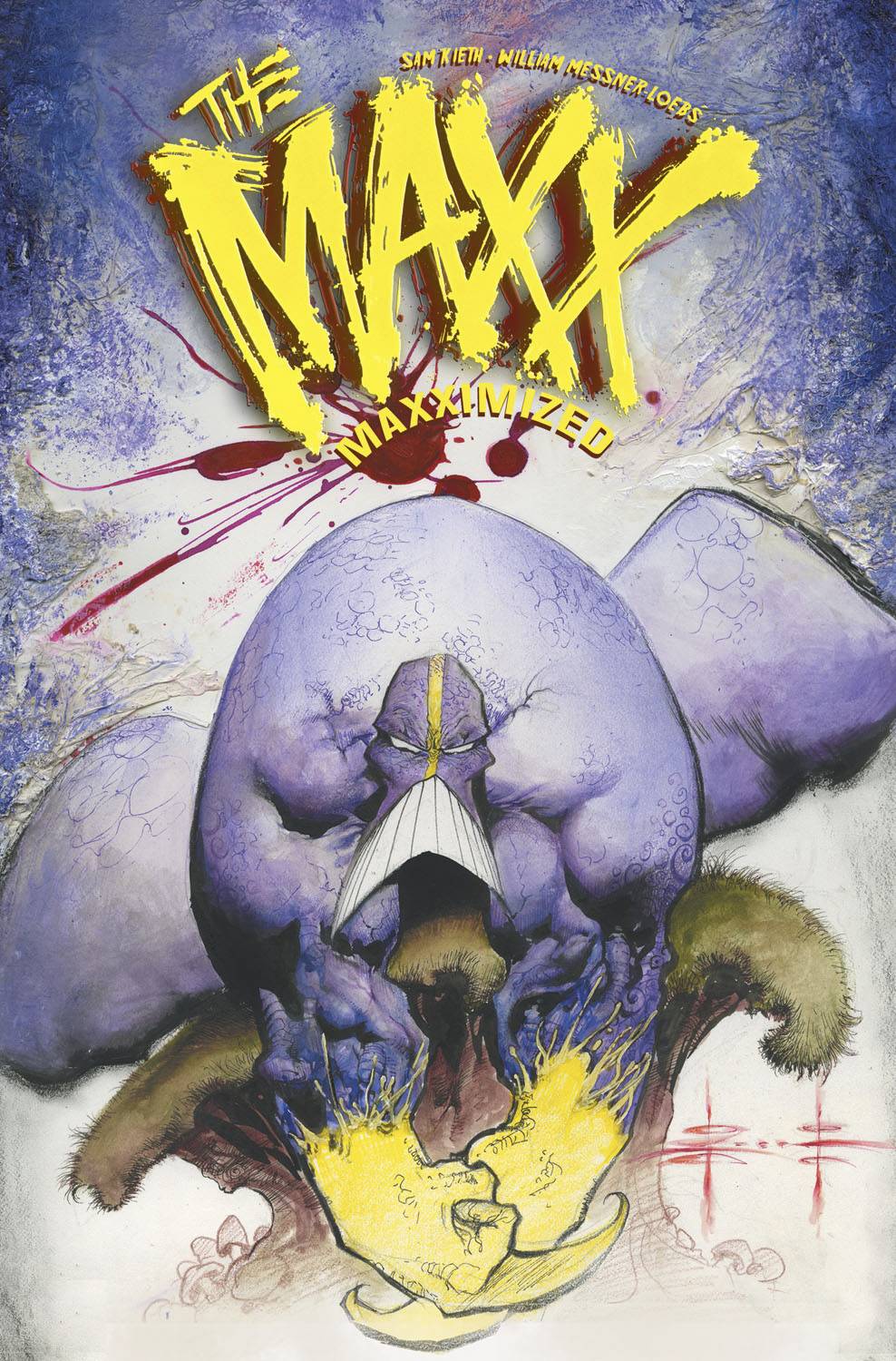 Maxx Maxximized Hardcover Volume 1