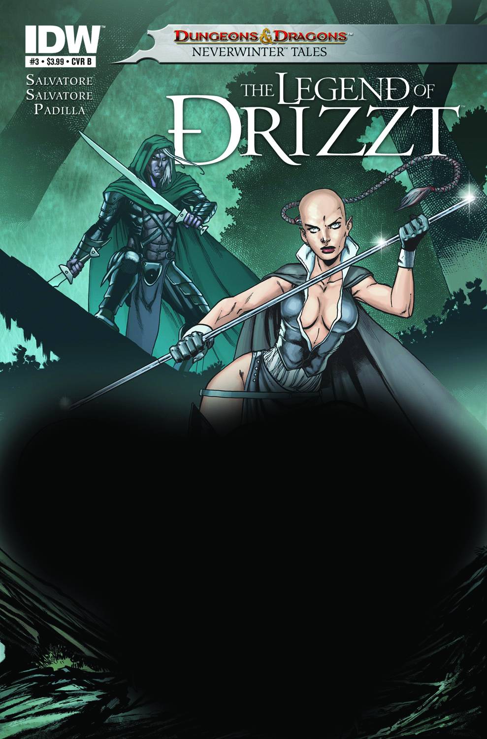 Dungeons & Dragons Drizzt #3