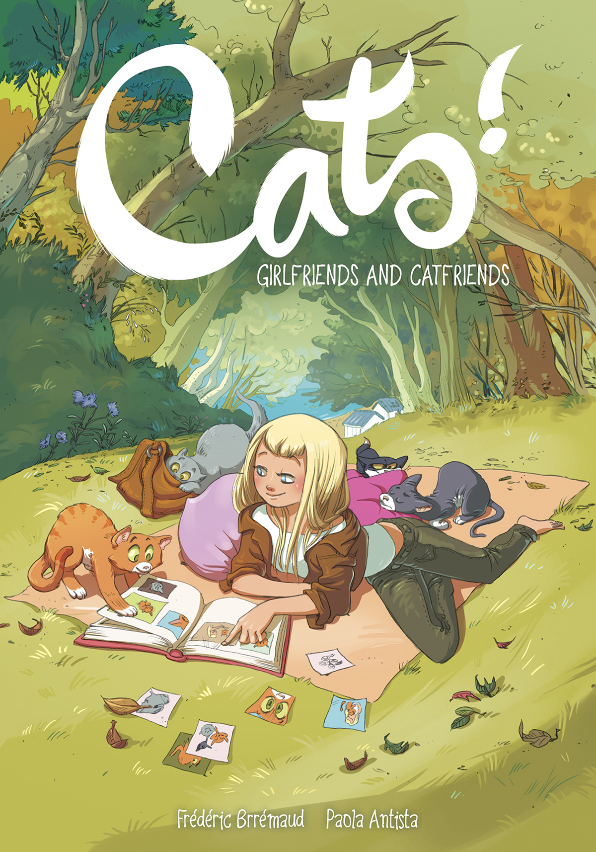 Cats Girlfriends & Catfriends Graphic Novel