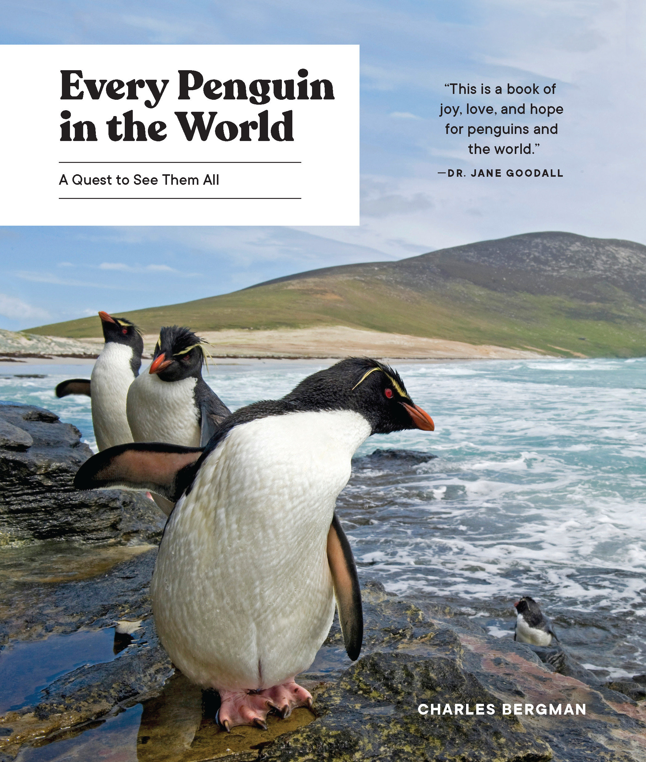 Every Penguin In The World (Hardcover Book)