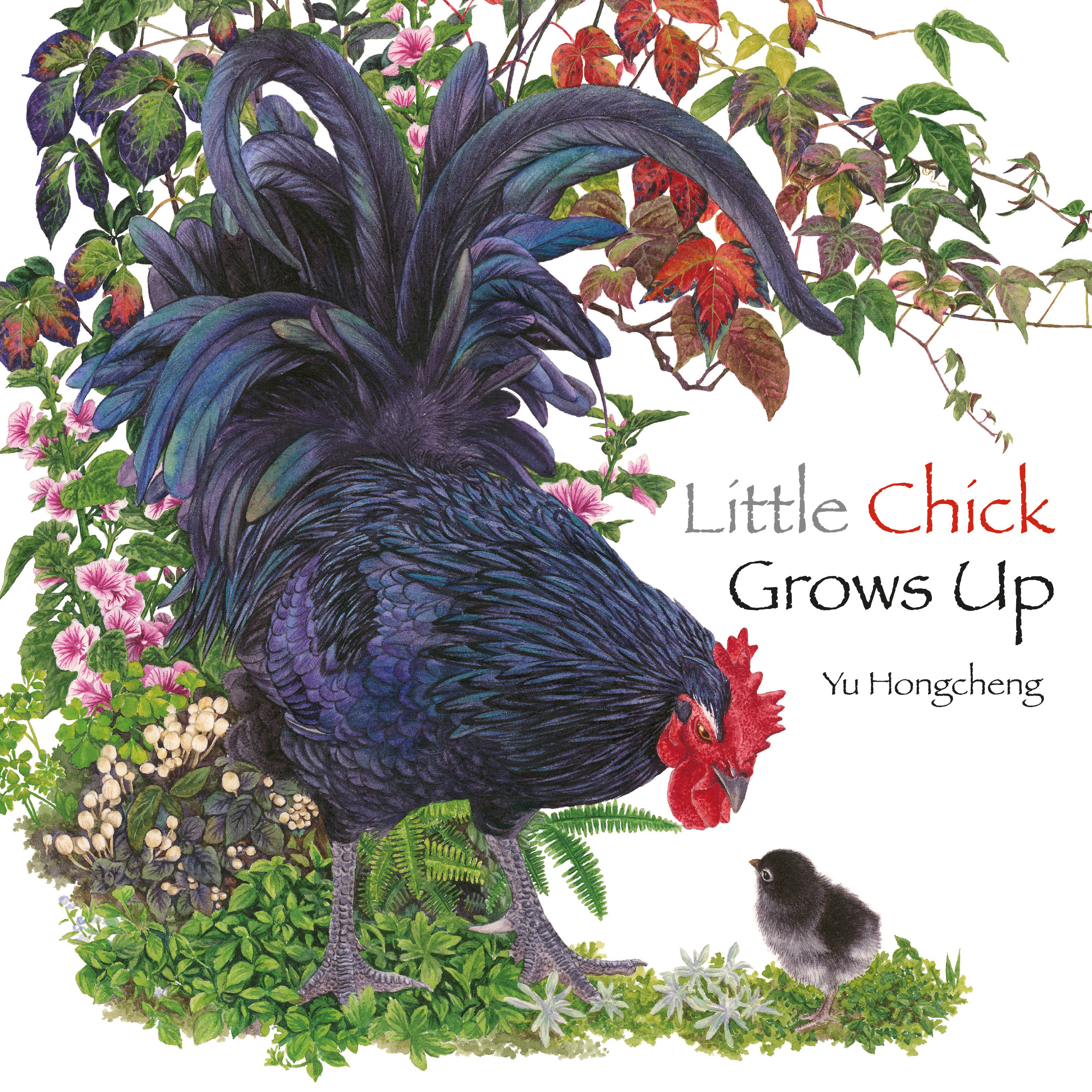 Little Chick Grows Up (Hardcover Book)