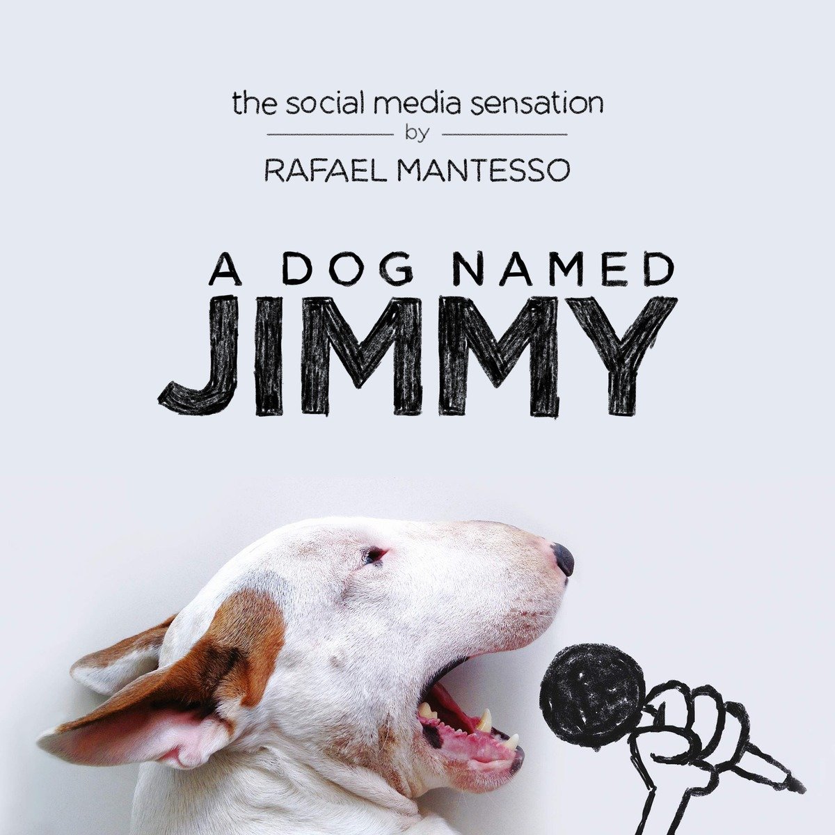 A Dog Named Jimmy (Hardcover Book)