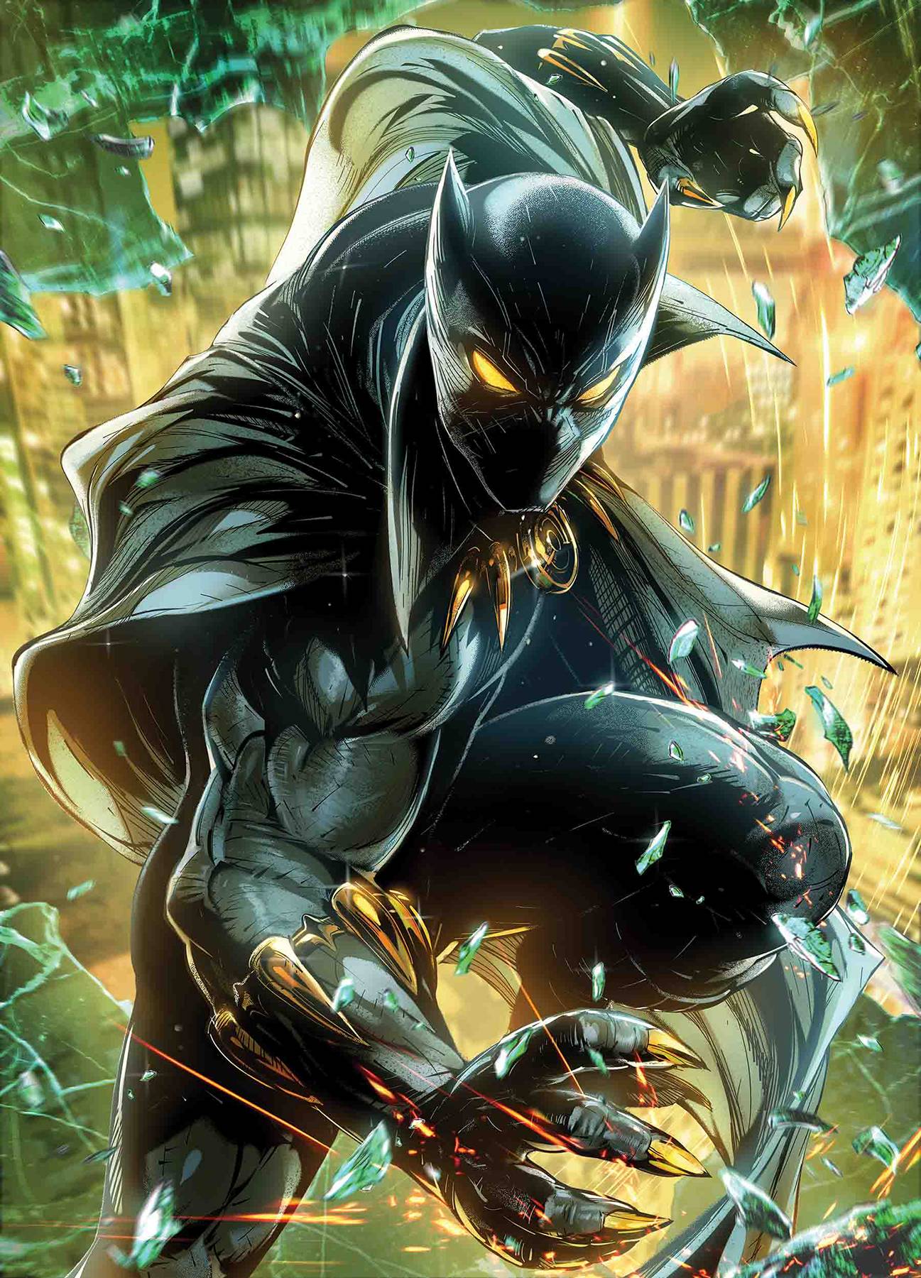 Black Panther #5 Maxx Lim Marvel Battle Lines Variant (2018)