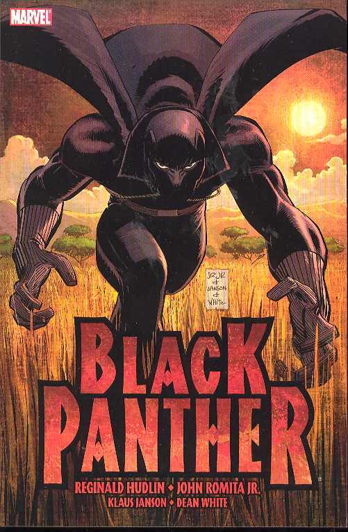 Black Panther Graphic Novel 1 Who Is the Black Panther