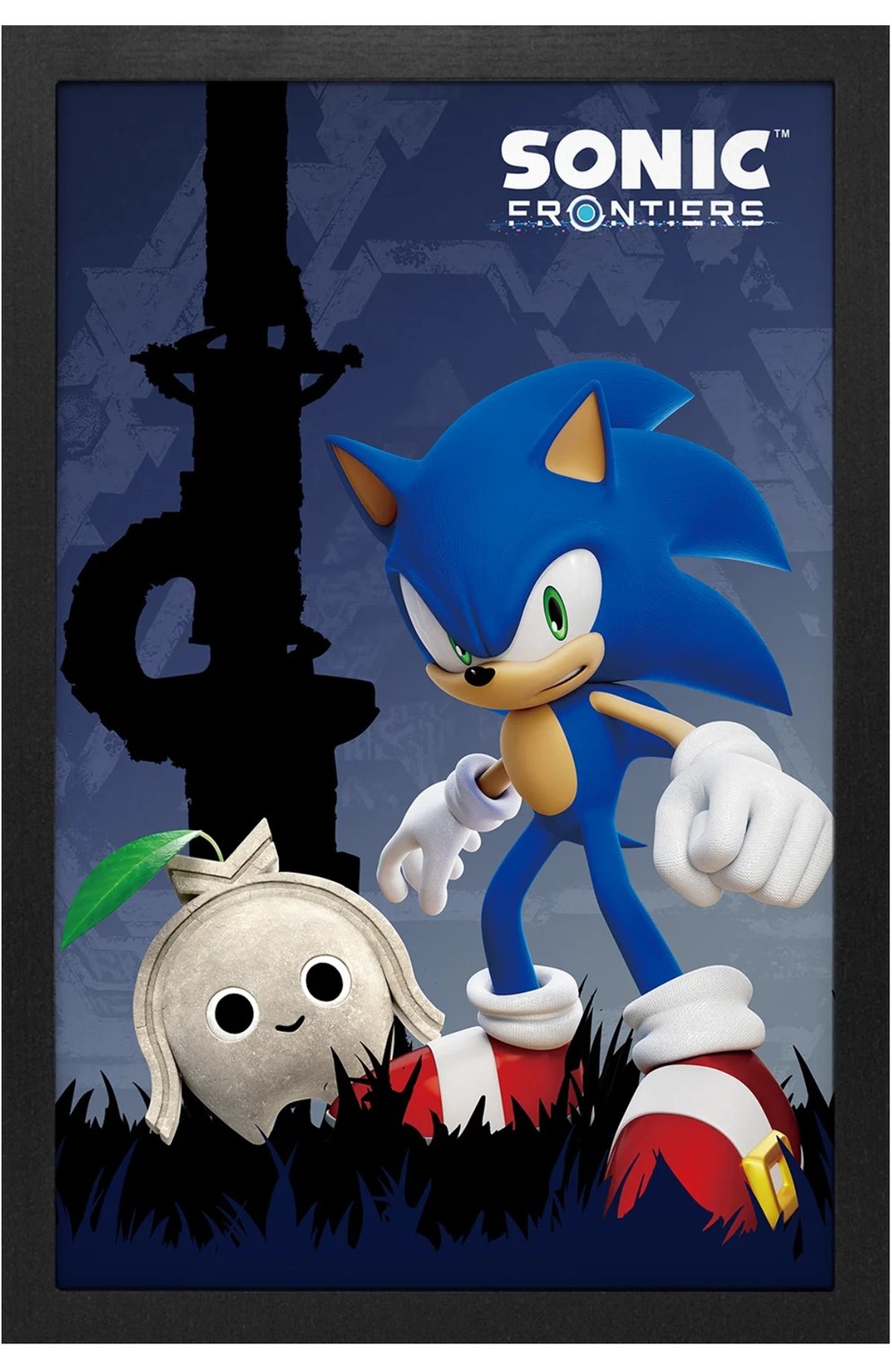 Sonic the Hedgehog - Frontiers Koco