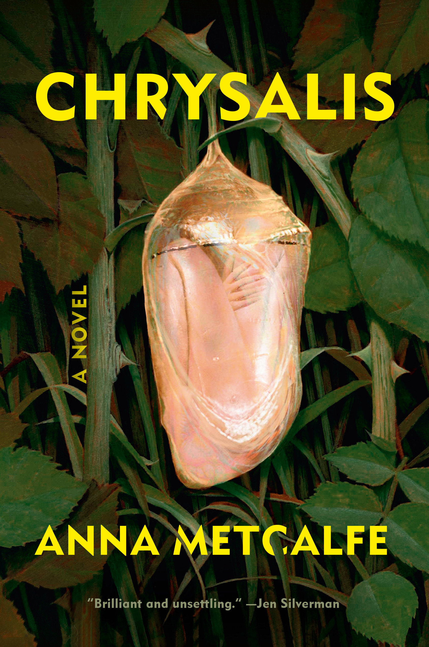 Chrysalis (Hardcover Book)