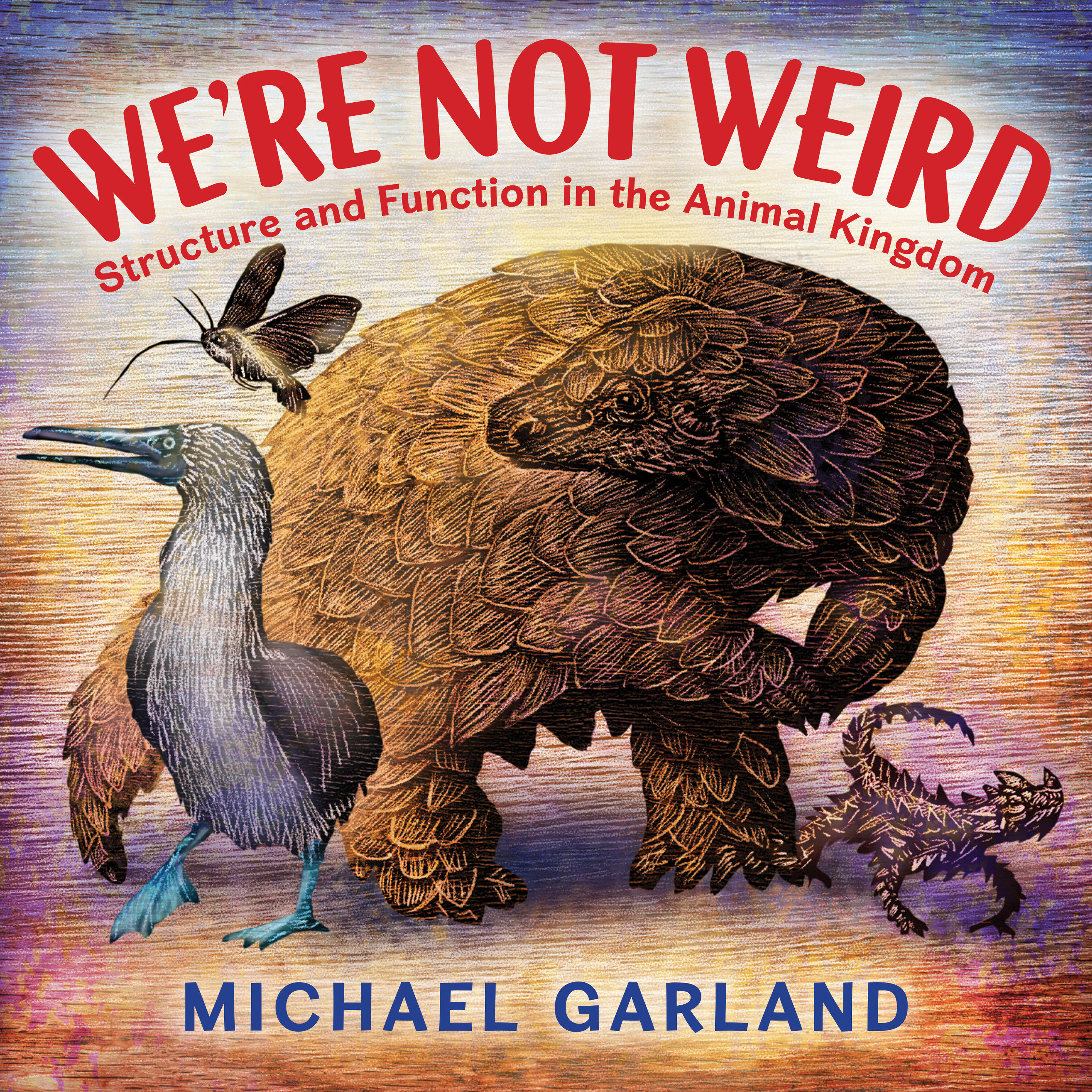 We'Re Not Weird (Hardcover Book)