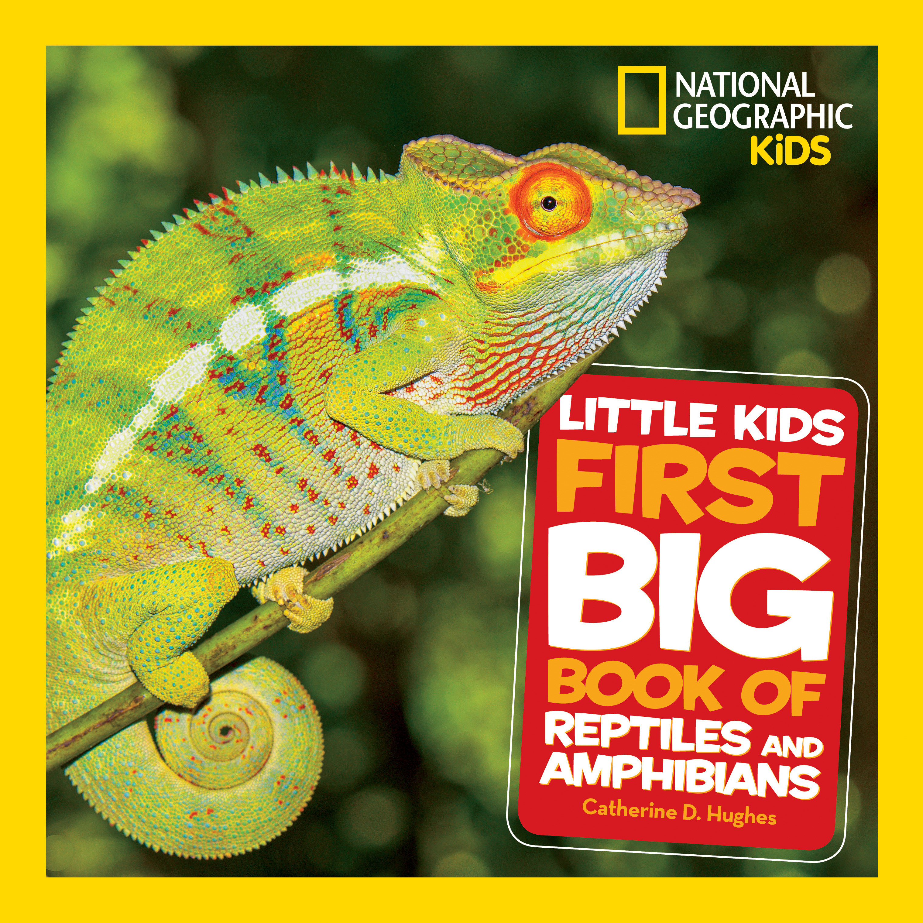 Little Kids First Big Book Of Reptiles And Amphibians (Hardcover Book)