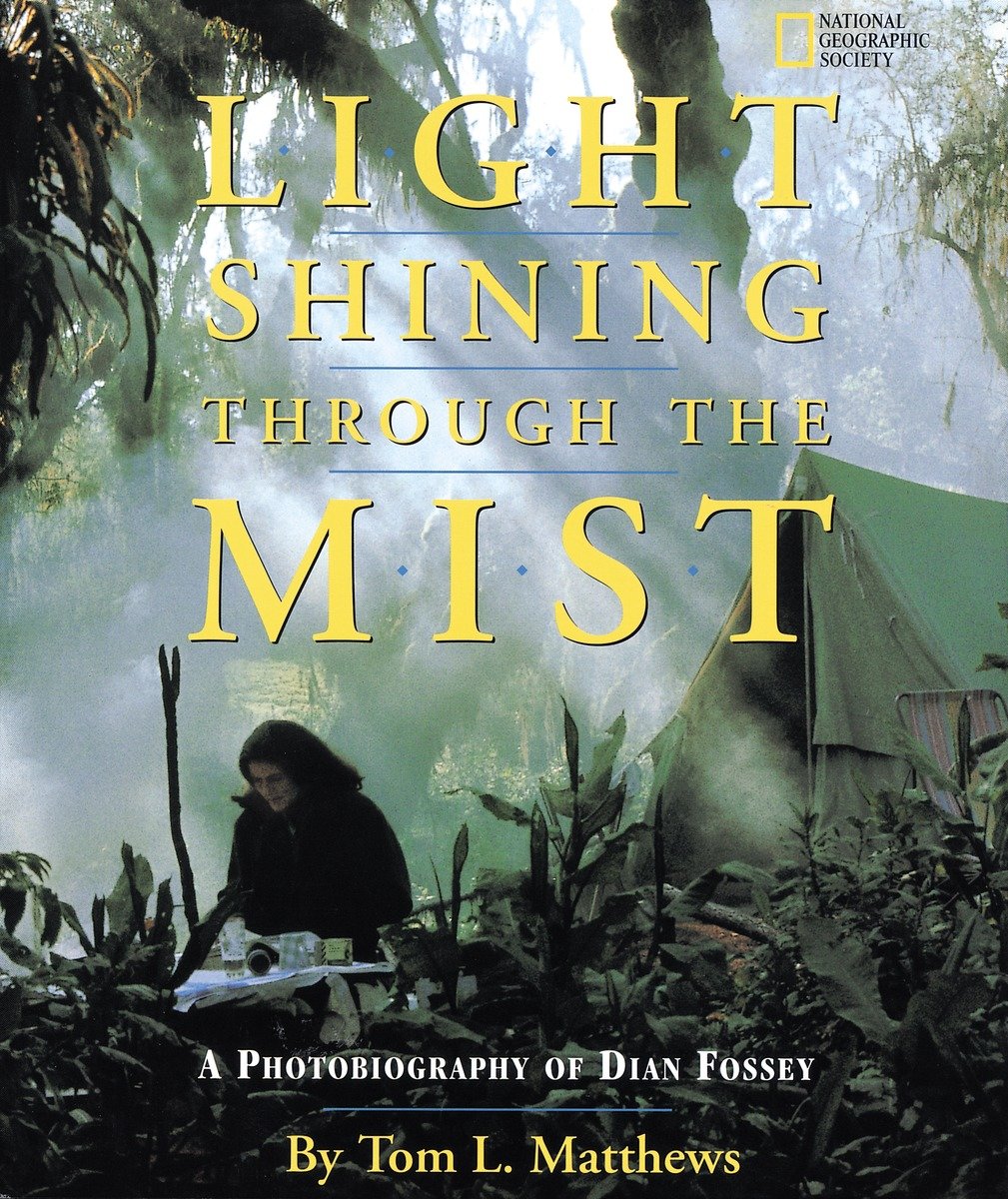 Light Shining Through The Mist (Hardcover Book)