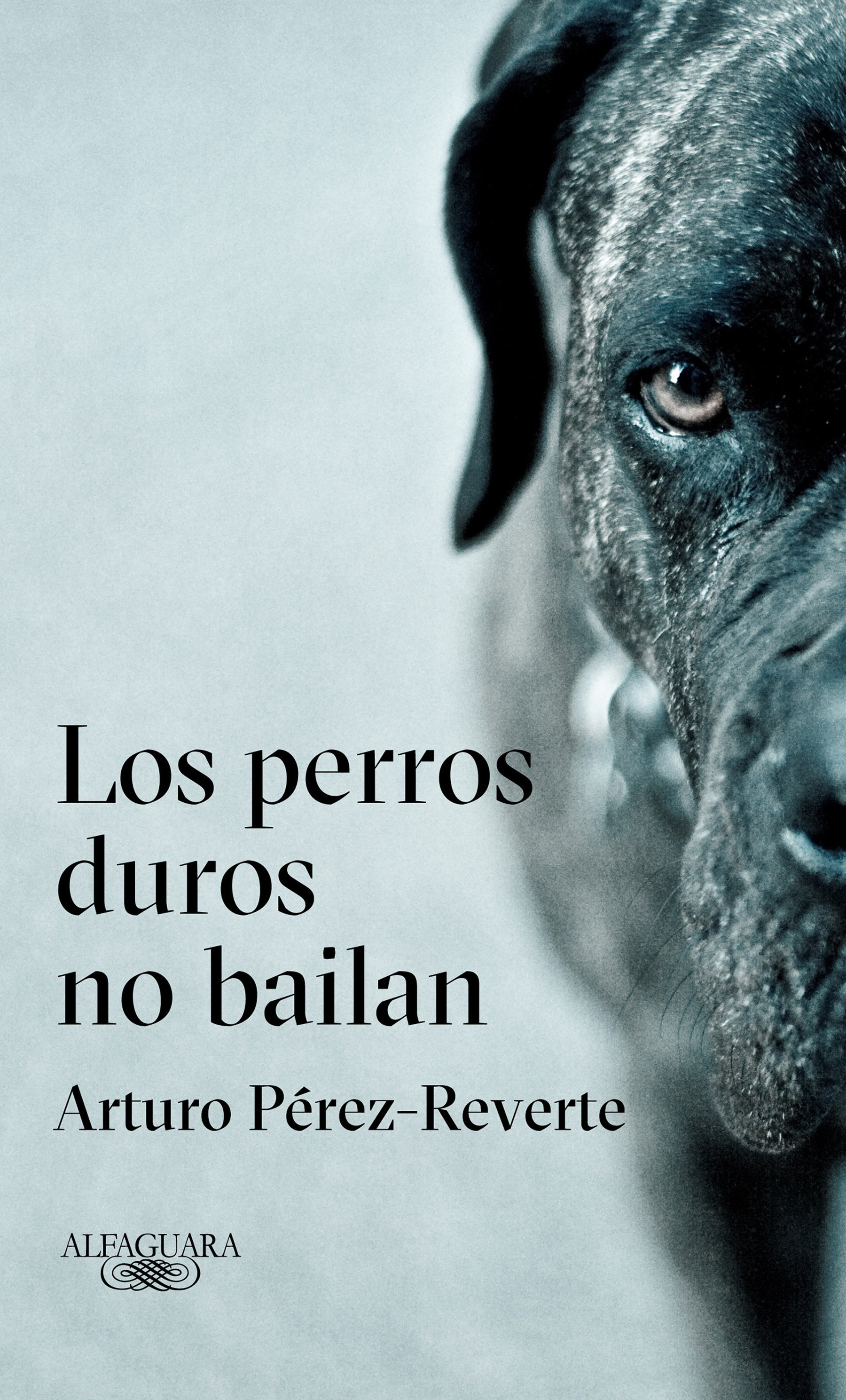 Los Perros Duros No Bailan / Tough Dogs Don'T Dance (Hardcover Book)