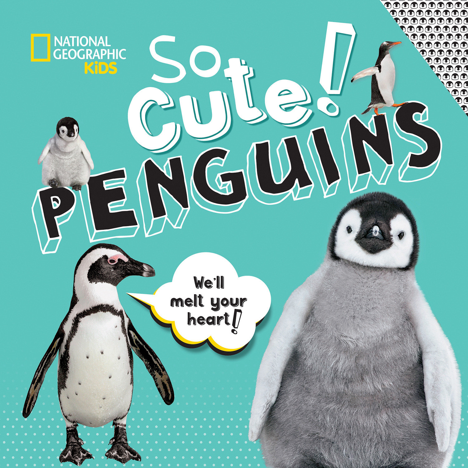 So Cute! Penguins (Hardcover Book)