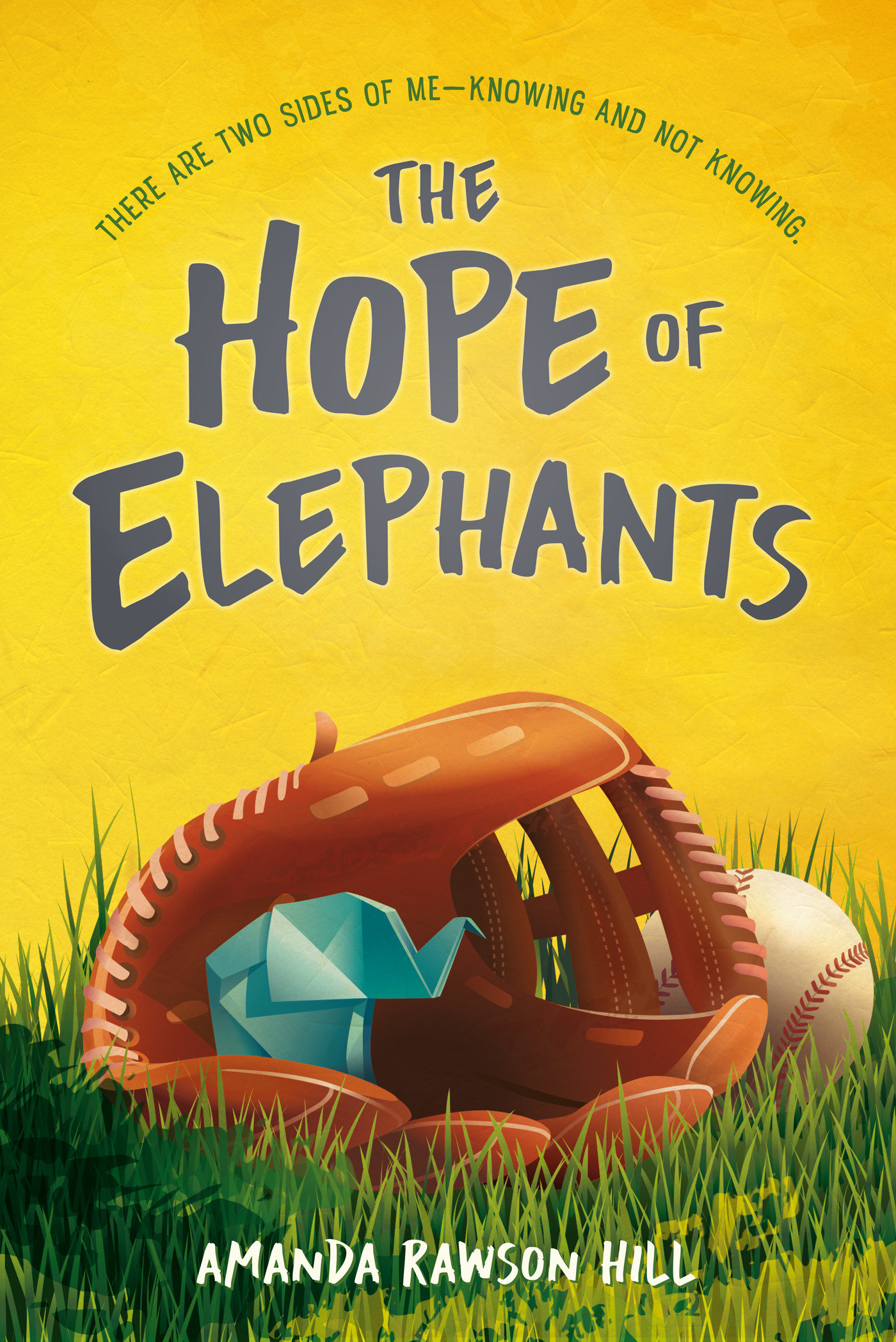 The Hope Of Elephants (Hardcover Book)