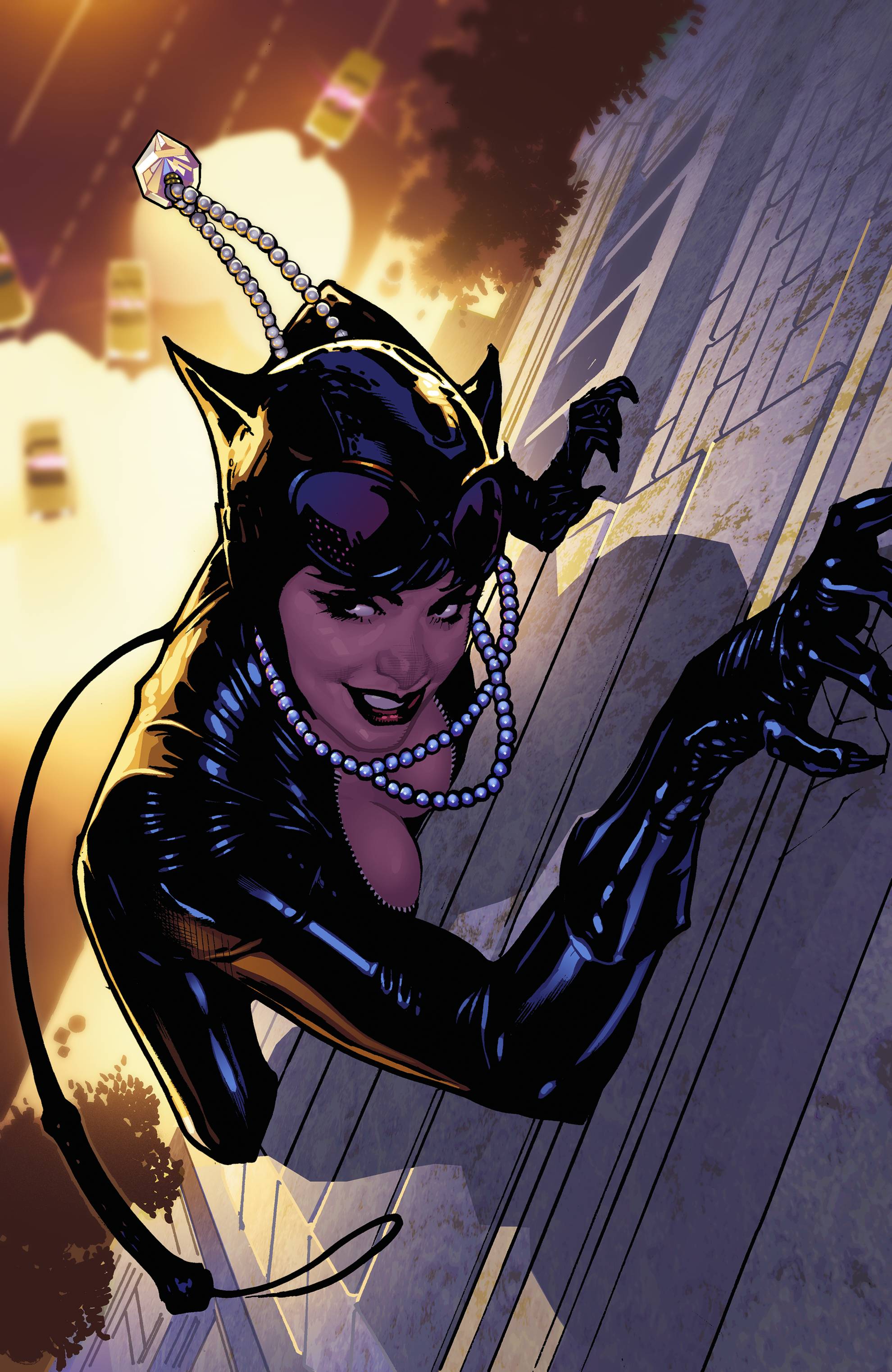 Catwoman The Long Road Home Graphic Novel