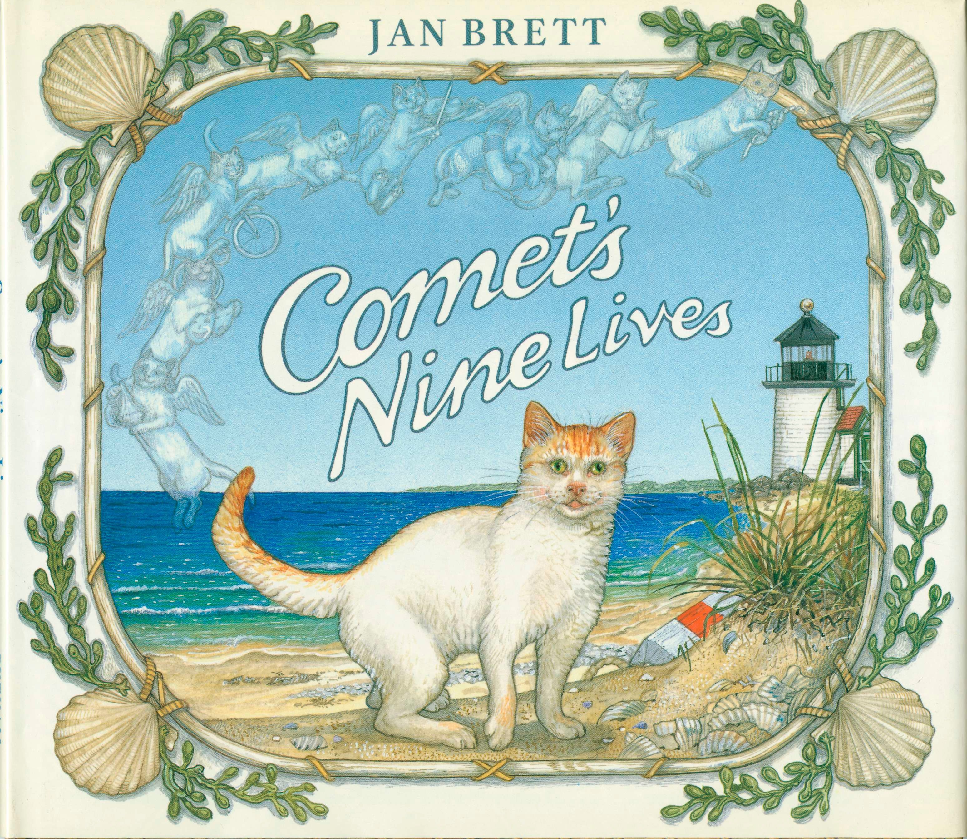 Comet's Nine Lives