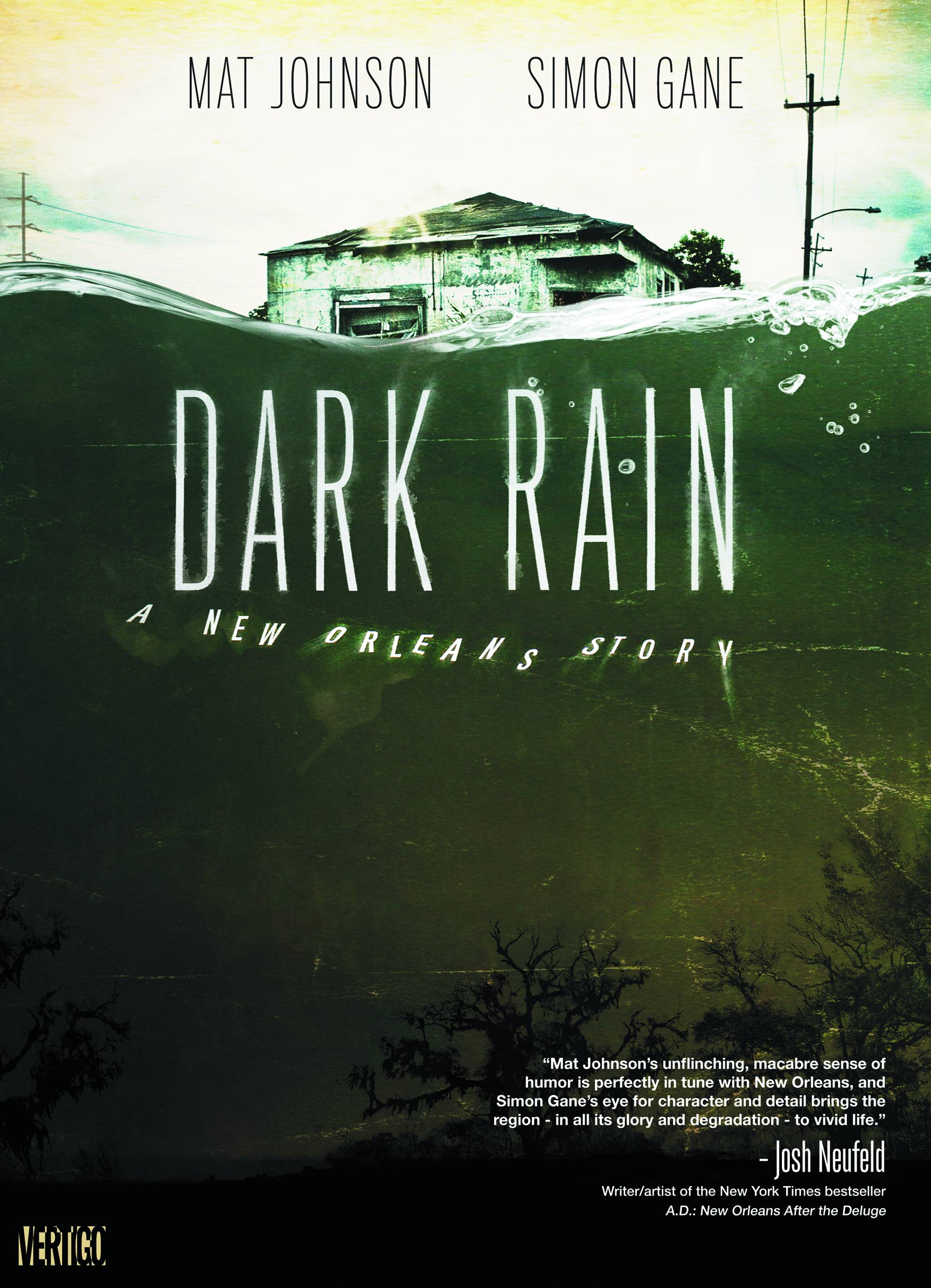 Dark Rain A New Orleans Story Soft Cover