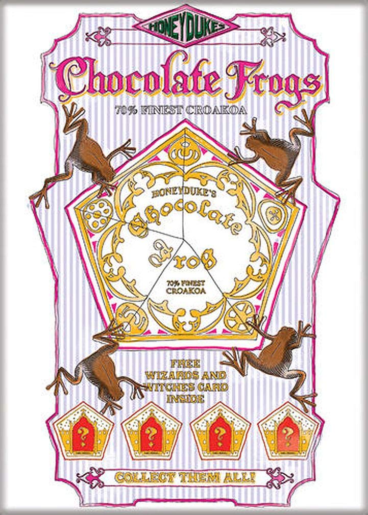 Honey Dukes Chocolate Frogs Ad Photo Magnet