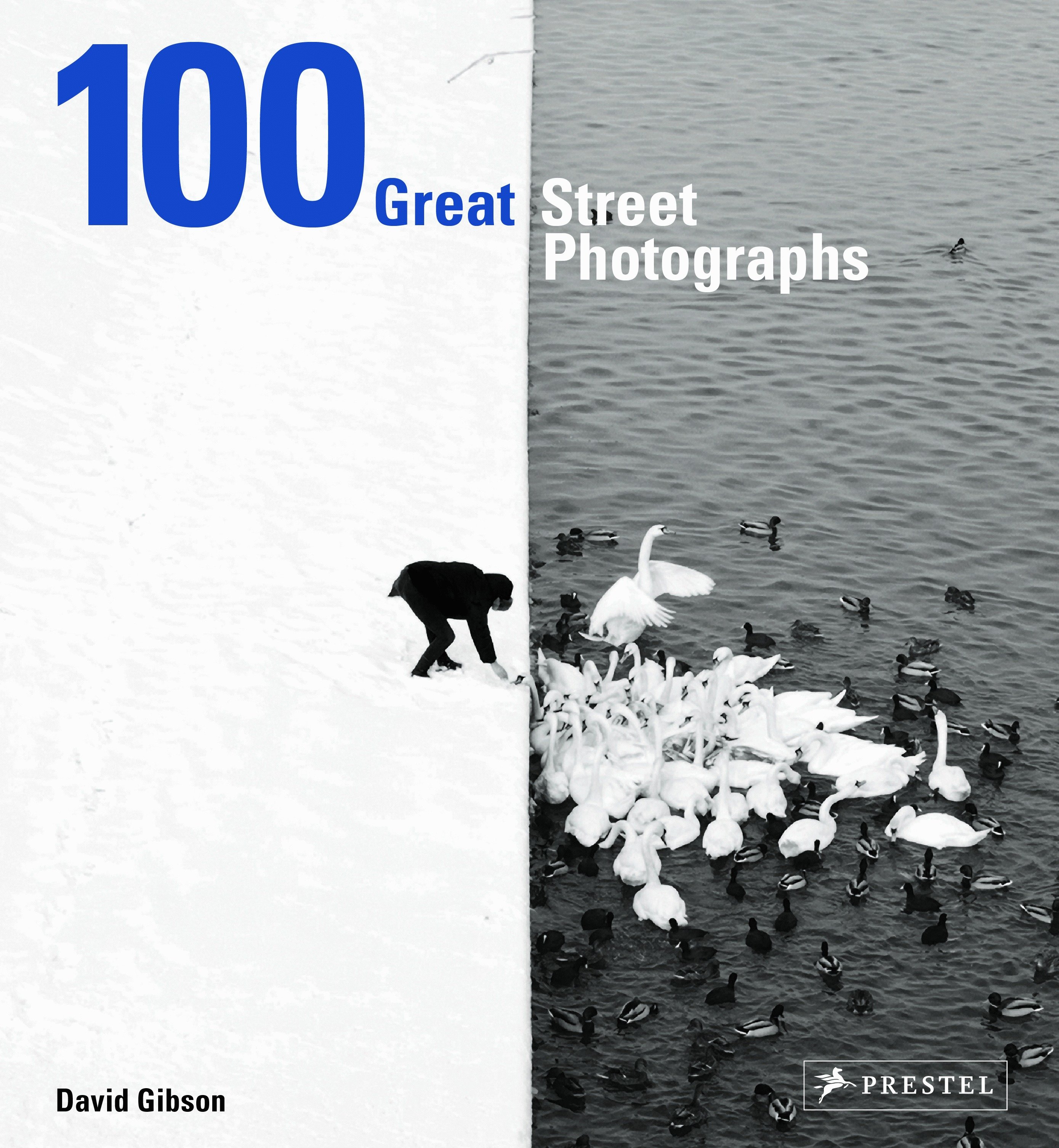 100 Great Street Photographs (Hardcover Book)