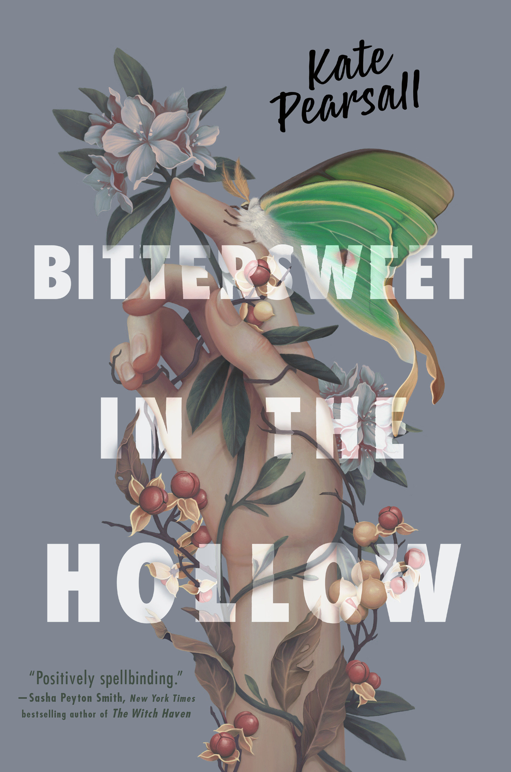 Bittersweet In The Hollow (Hardcover Book)