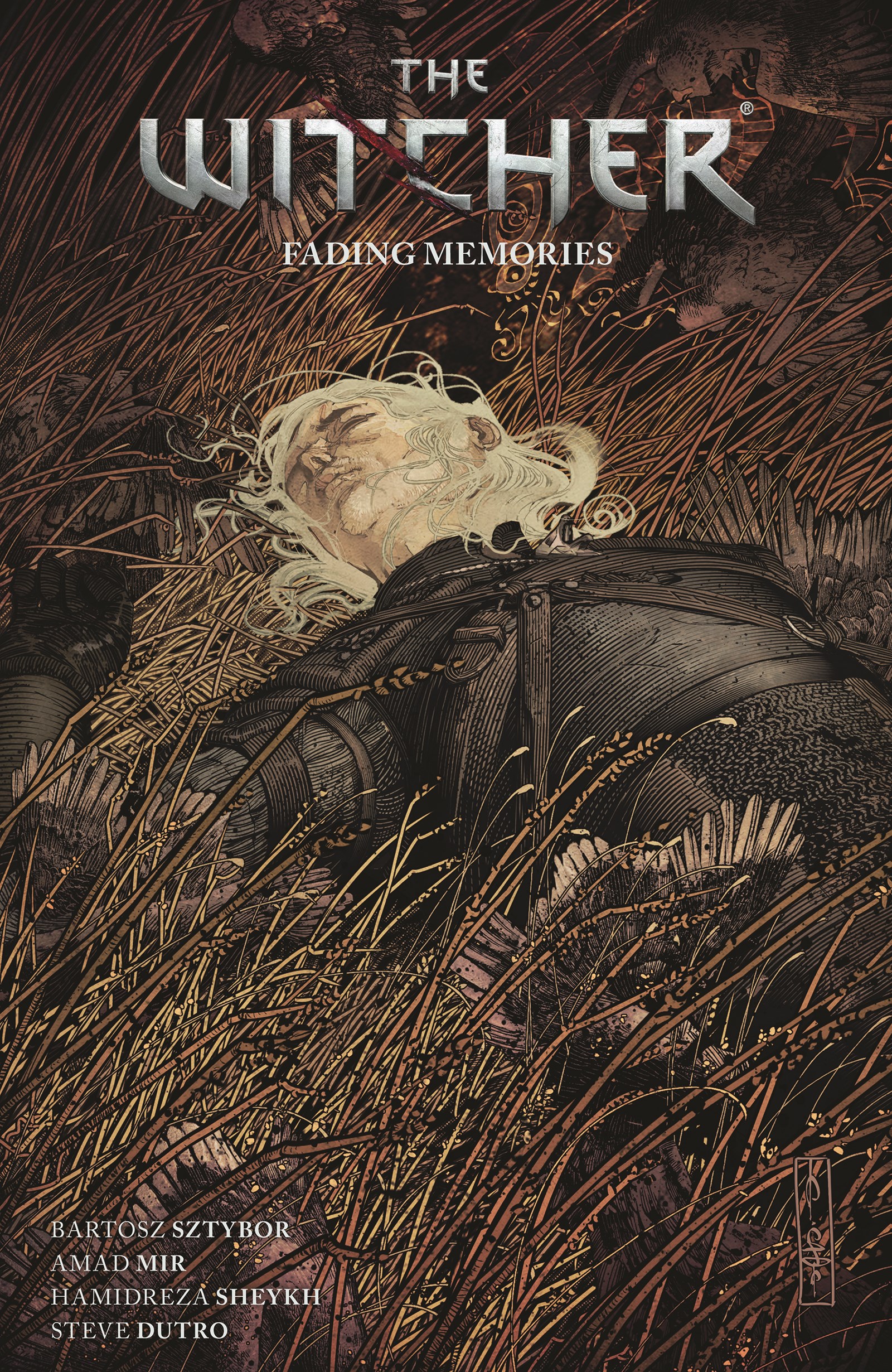 Witcher Graphic Novel Volume 5 Fading Memories