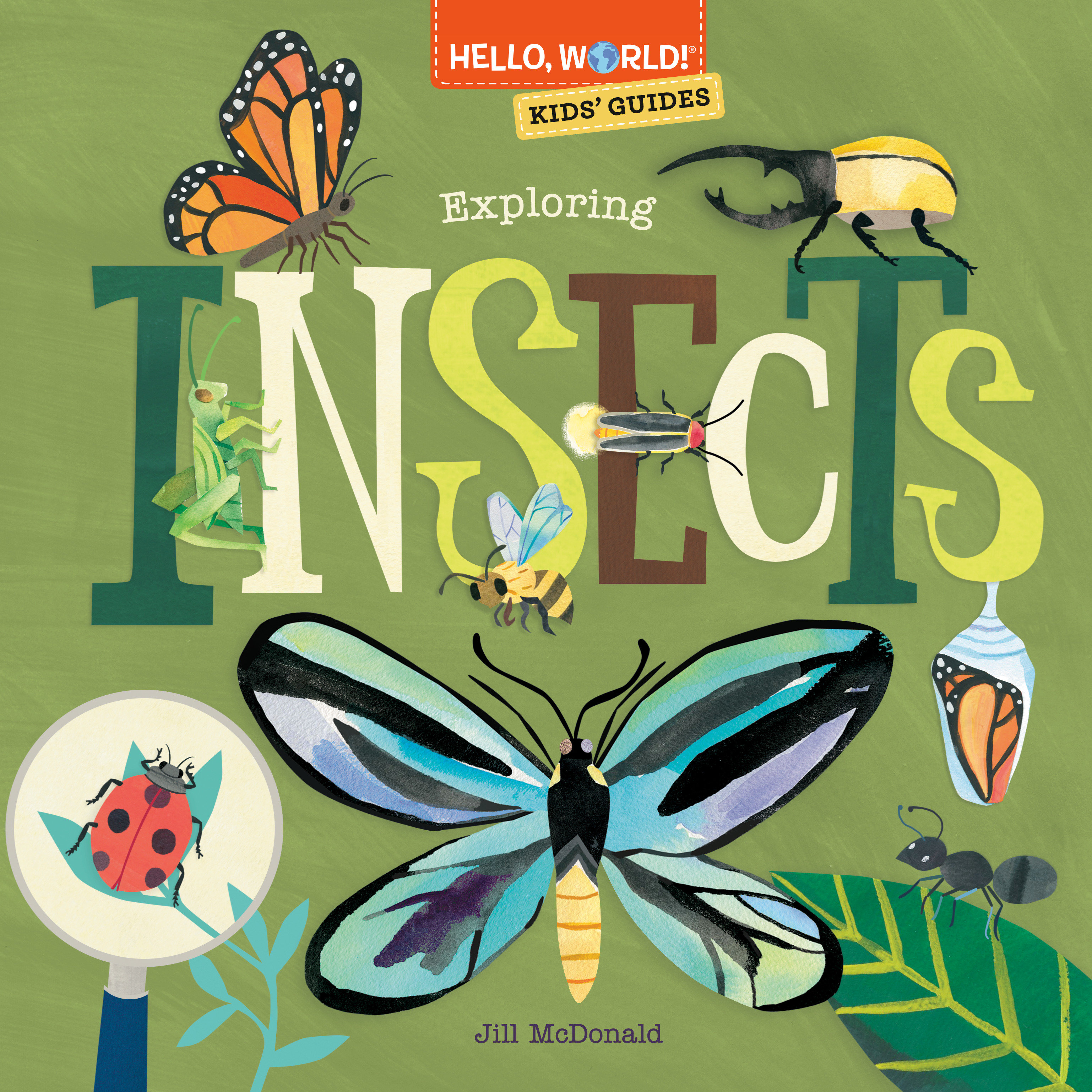 Hello, World! Kids' Guides: Exploring Insects (Hardcover Book)