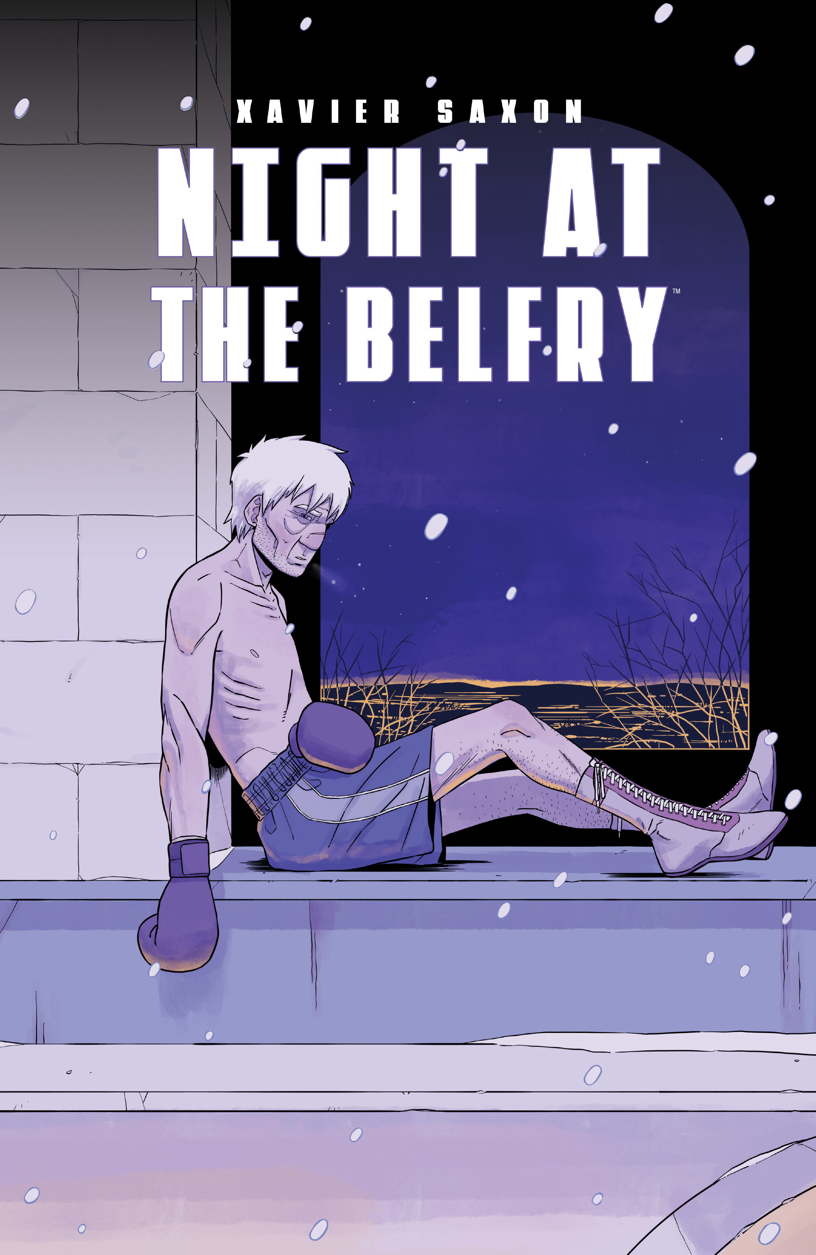 Night At The Belfry Graphic Novel