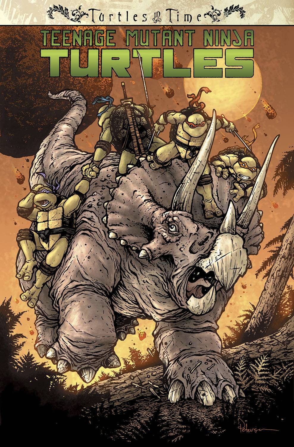 Teenage Mutant Ninja Turtles Turtles In Time Graphic Novel