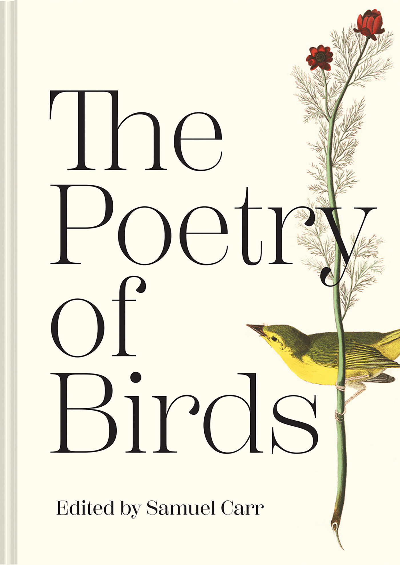 The Poetry Of Birds (Hardcover Book)