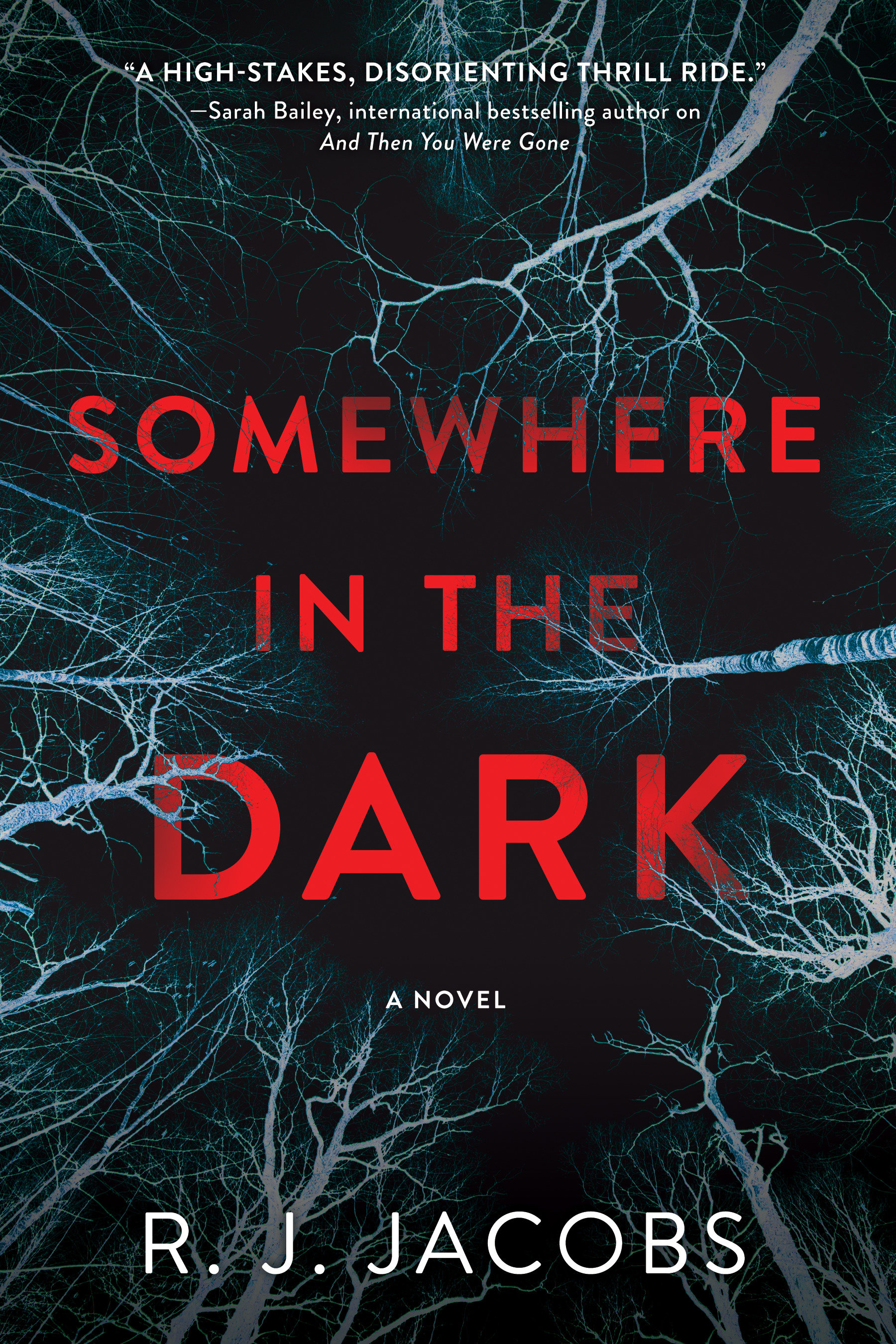 Somewhere In The Dark (Hardcover Book)