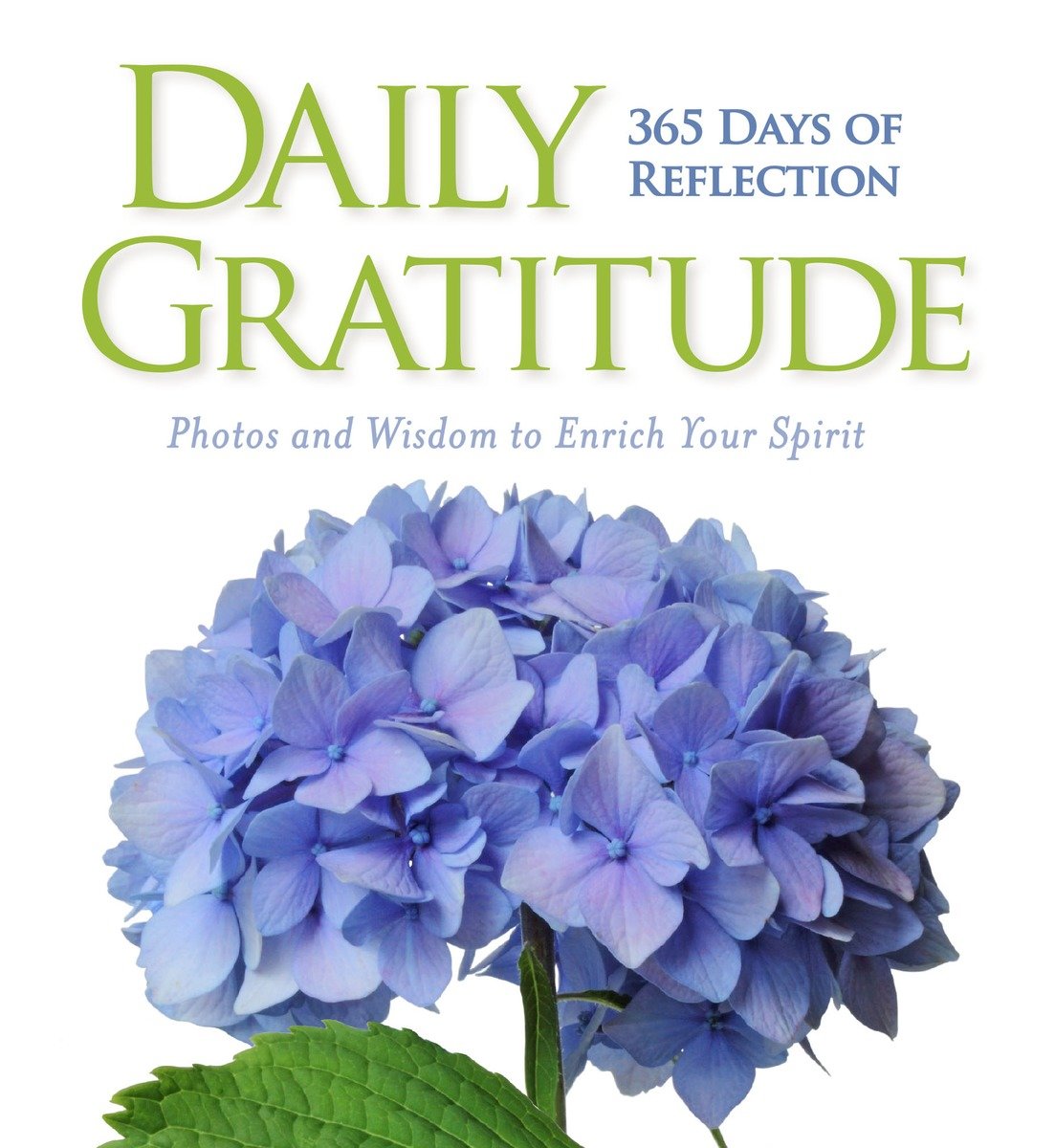 Daily Gratitude (Hardcover Book)