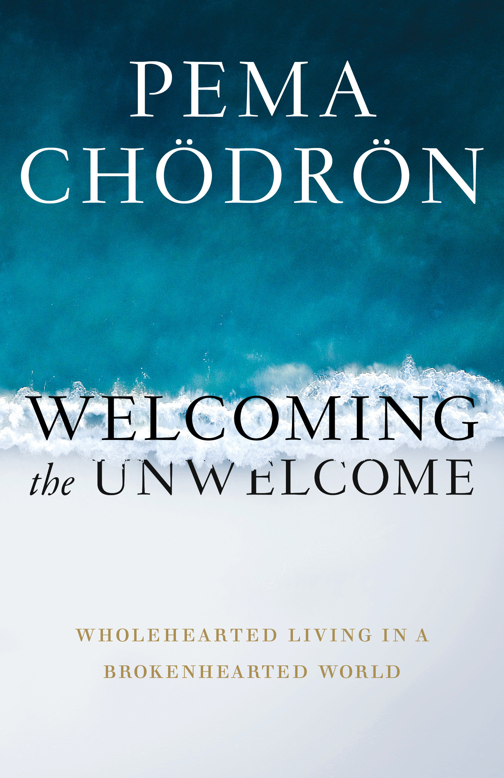 Welcoming The Unwelcome (Hardcover Book)