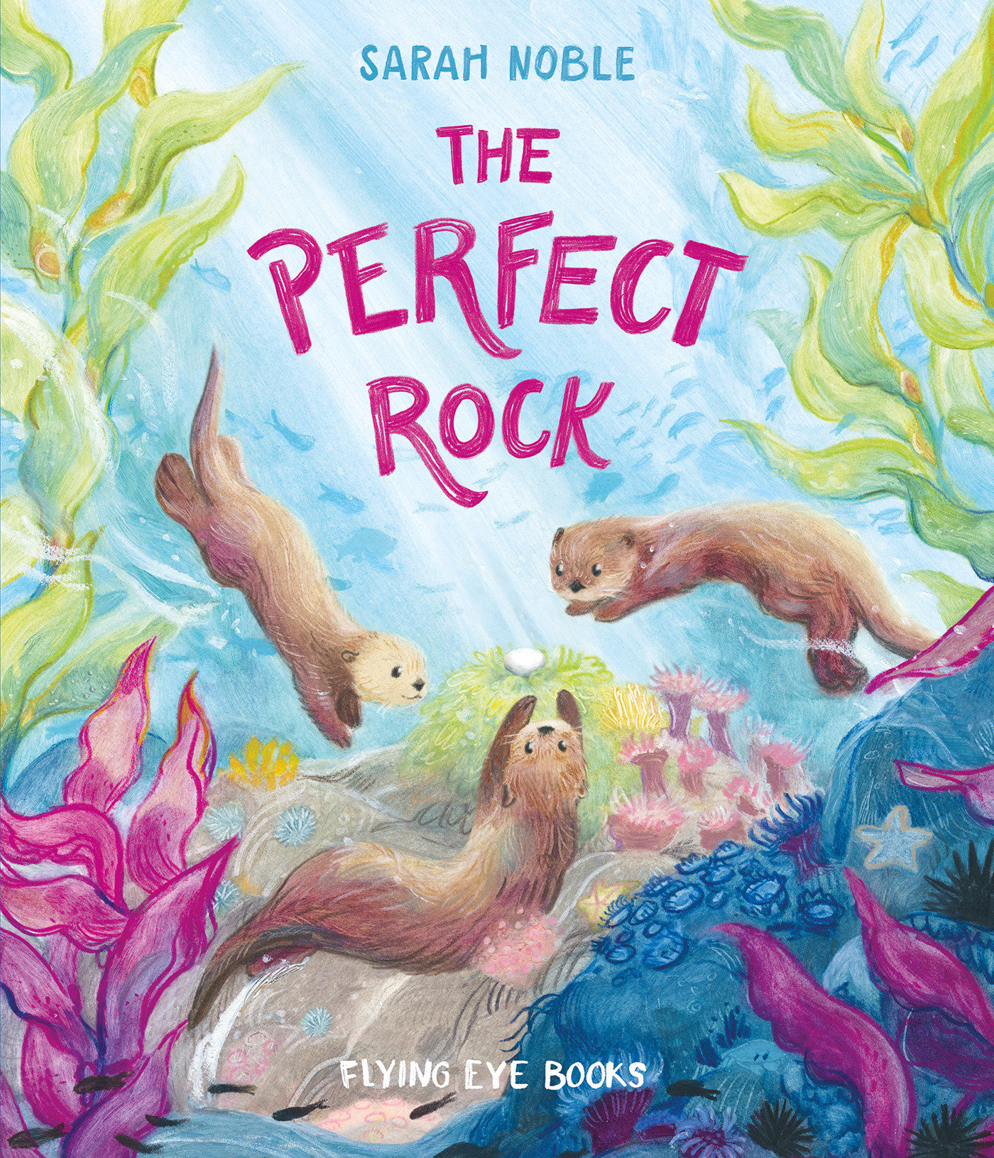The Perfect Rock (Hardcover Book)
