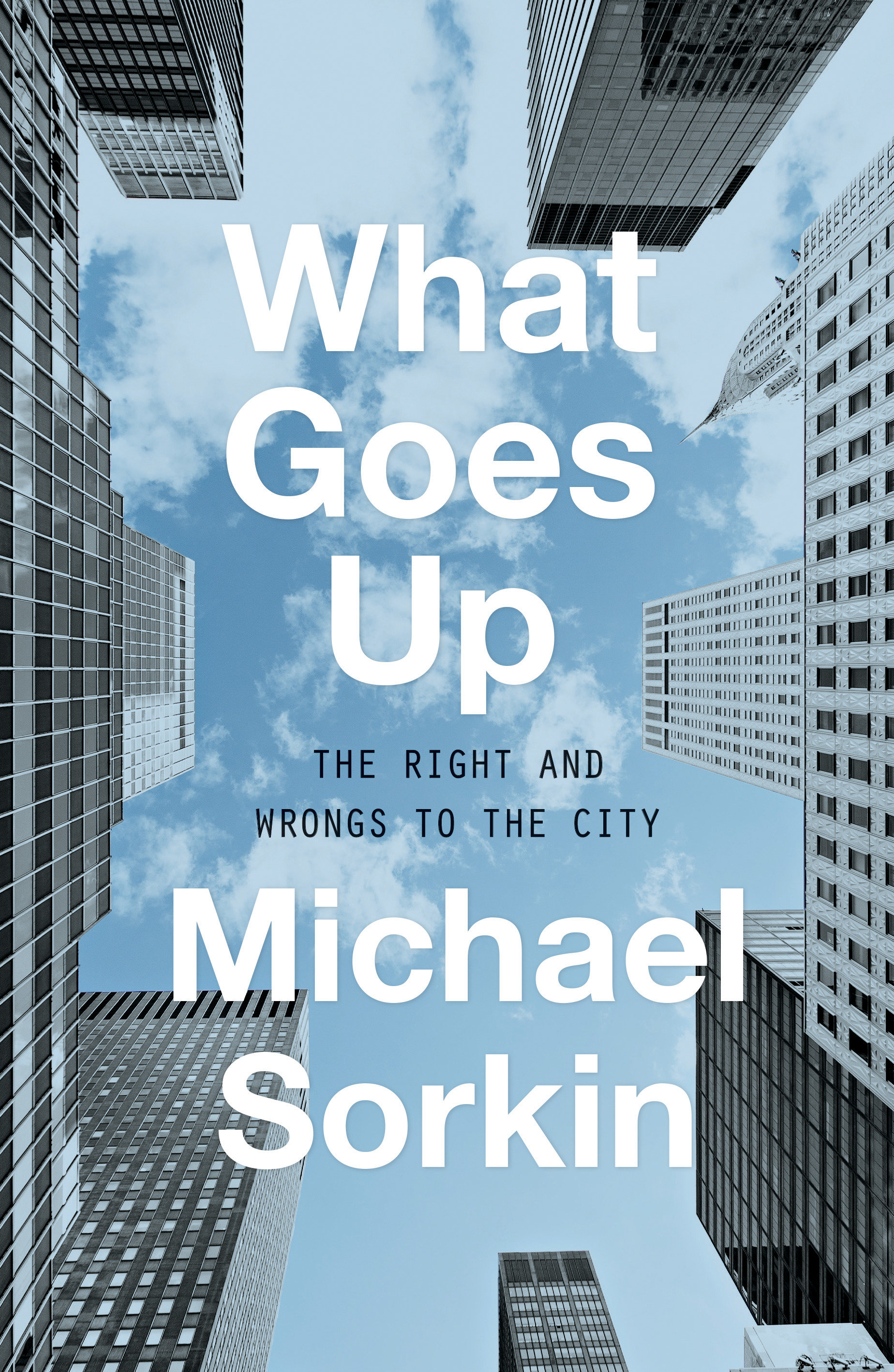 What Goes Up (Hardcover Book)