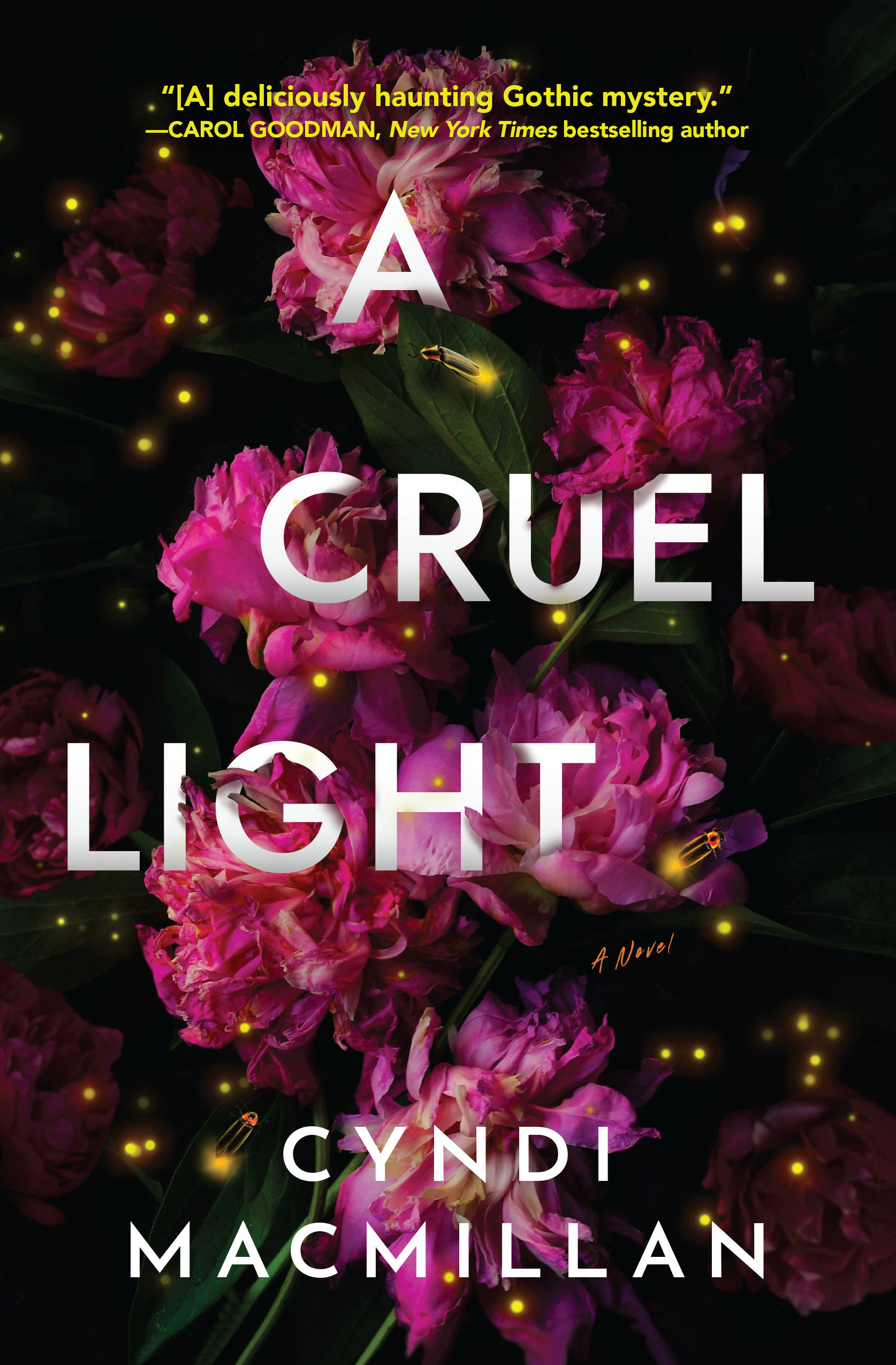 A Cruel Light (Hardcover Book)