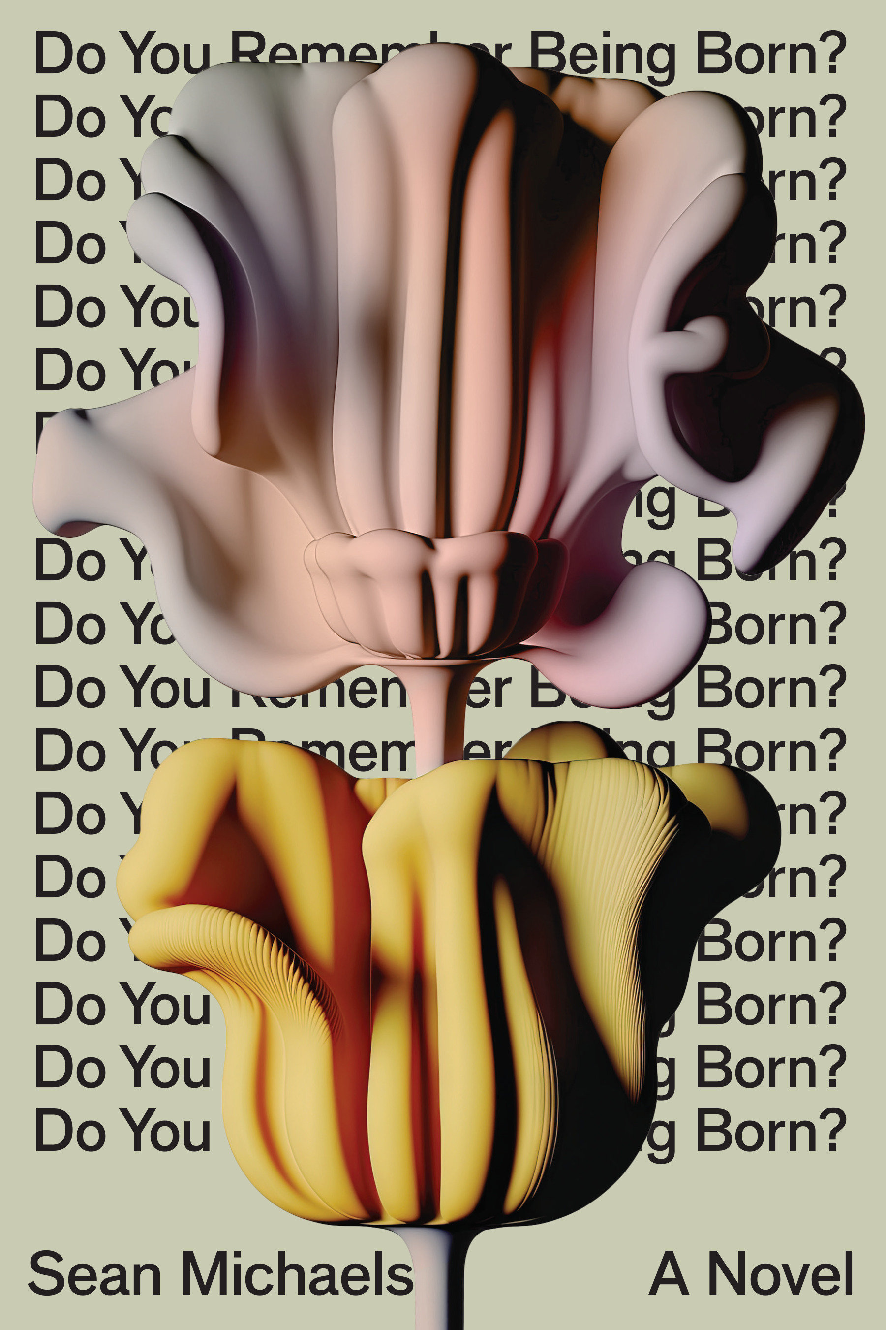 Do You Remember Being Born? (Hardcover Book)