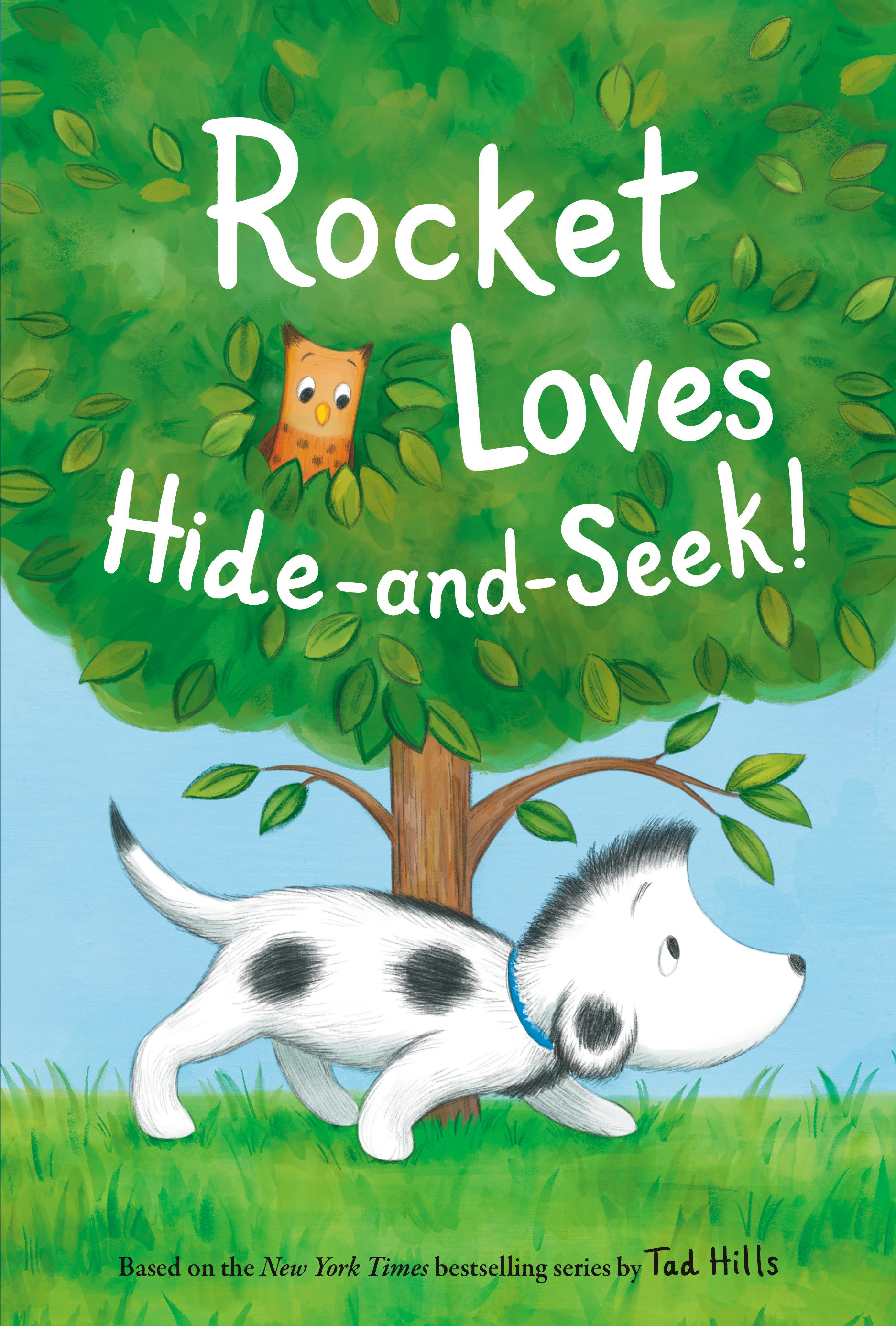 Rocket Loves Hide-And-Seek! (Hardcover Book)