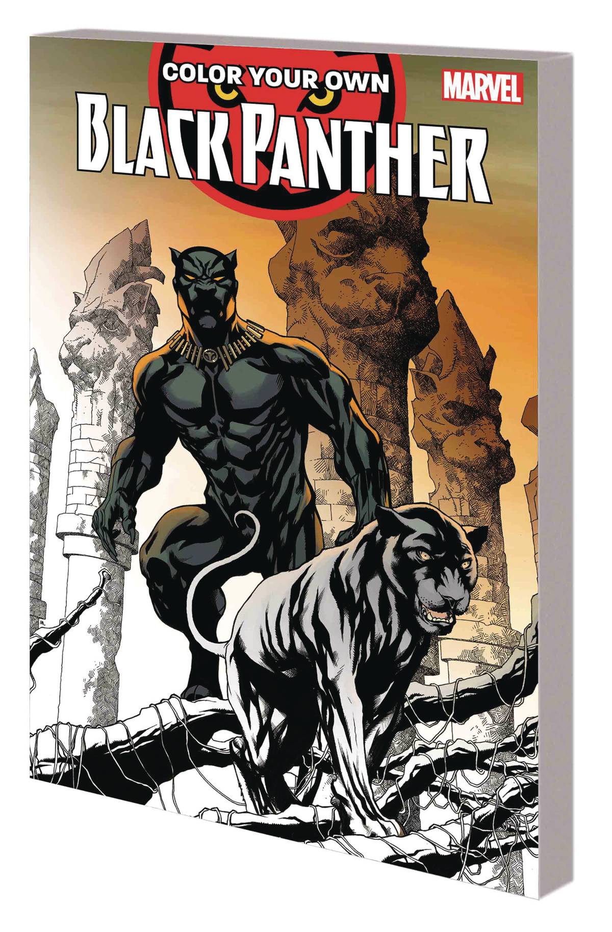 Color Your Own Black Panther Graphic Novel