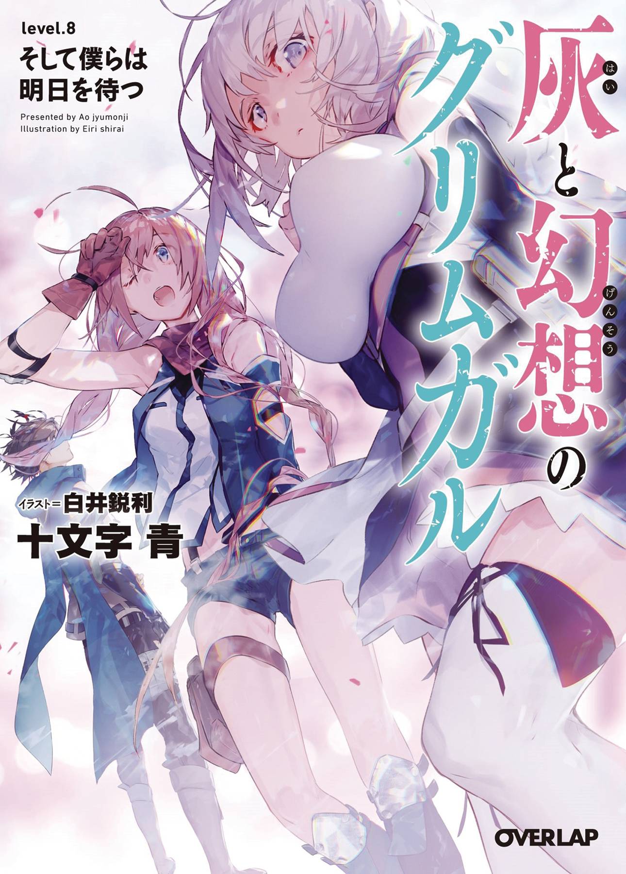 Grimgar of Fantasy & Ash Light Novel Volume 8