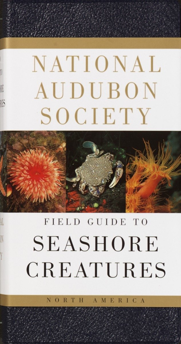 National Audubon Society Field Guide To Seashore Creatures (Hardcover Book)