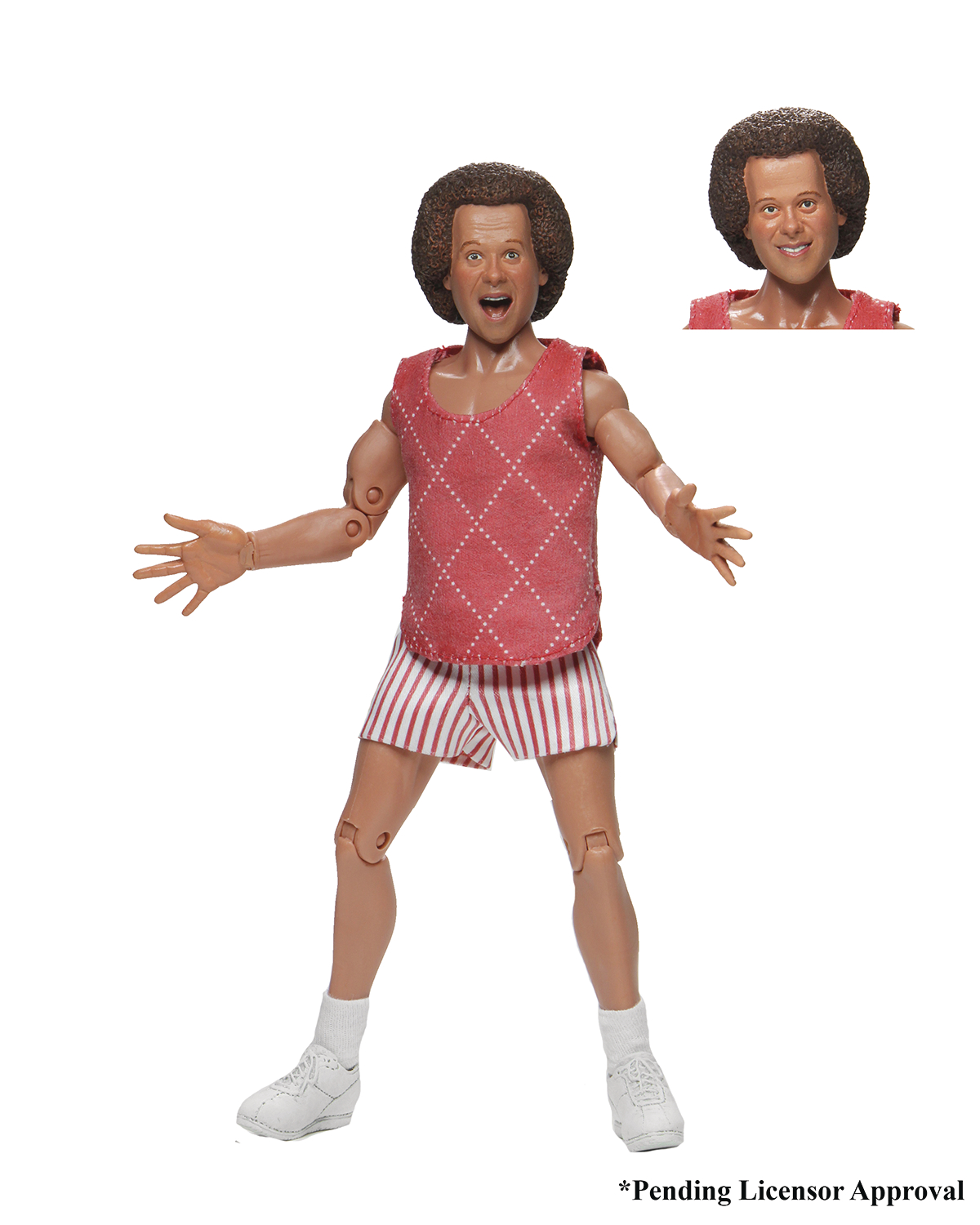 Richard Simmons 8 Inch Clothed Action Figure