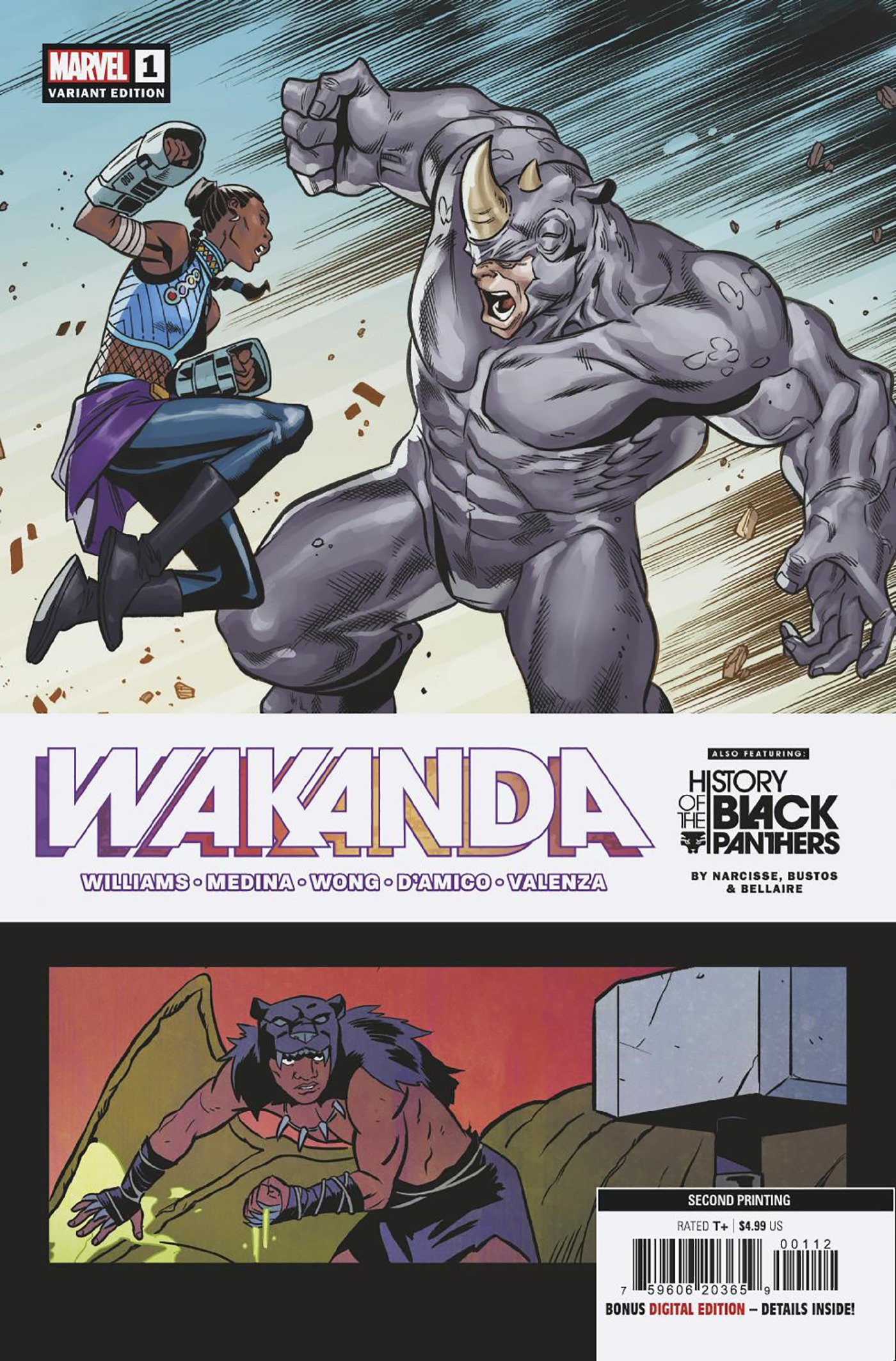 Wakanda #1 2nd Printing Medina Variant (Of 5)