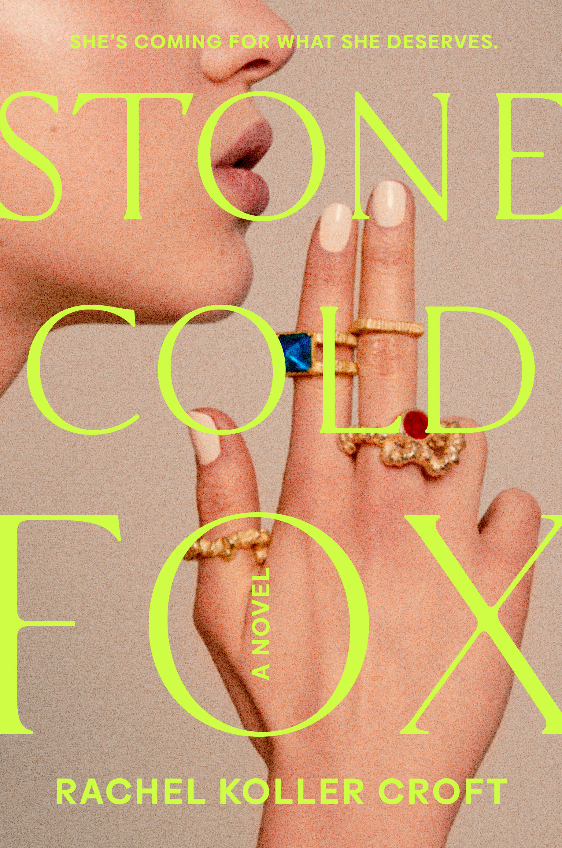 Stone Cold Fox (Hardcover Book)