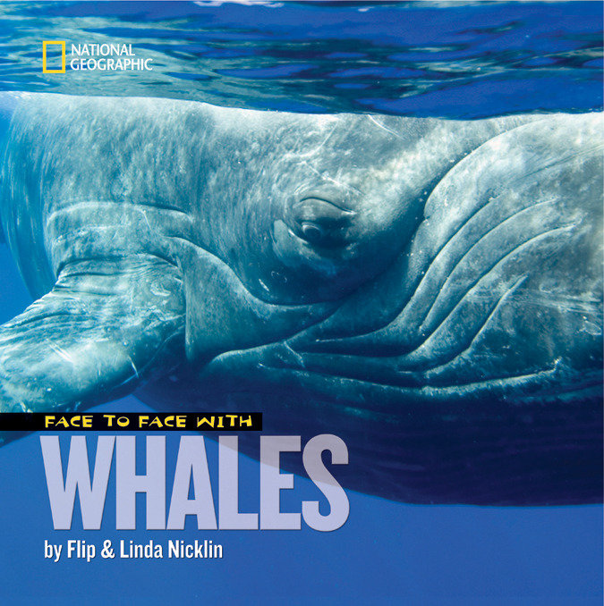 Face To Face With Whales (Hardcover Book)