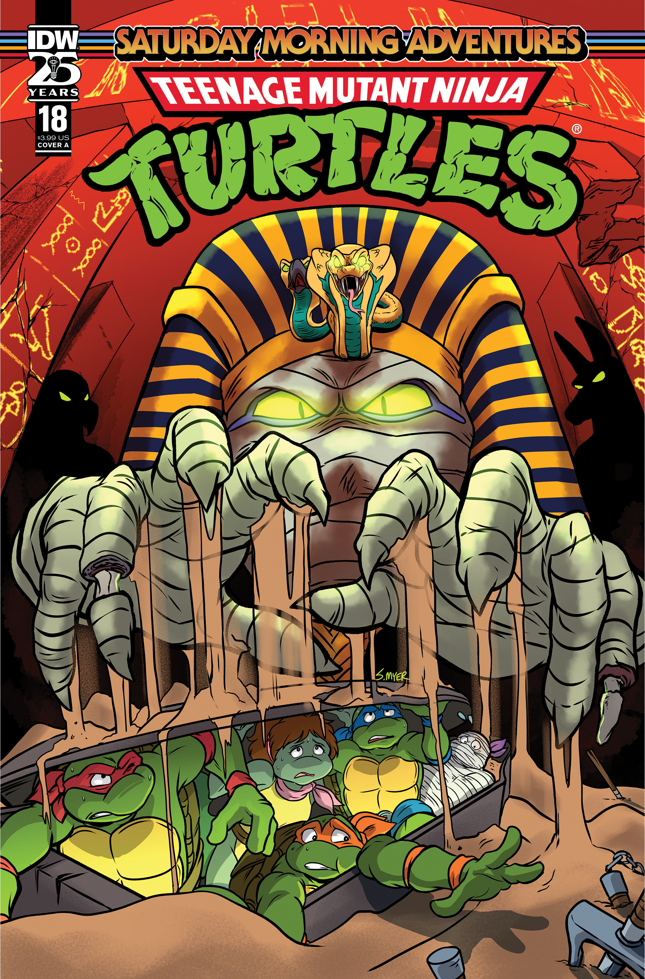 Teenage Mutant Ninja Turtles Saturday Morning Adventures Continued! #18 Cover A Myer