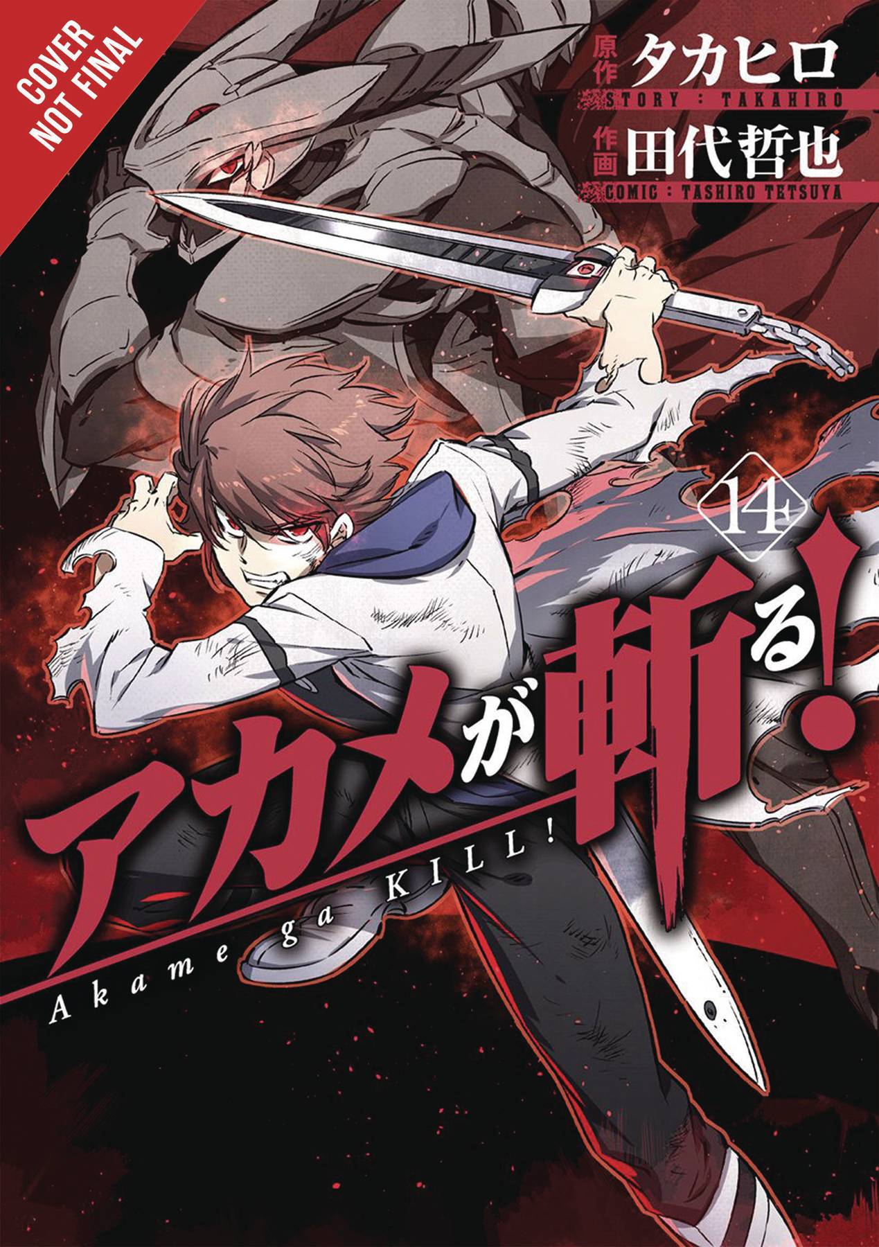 Akame Ga Kill Graphic Novel Volume 14